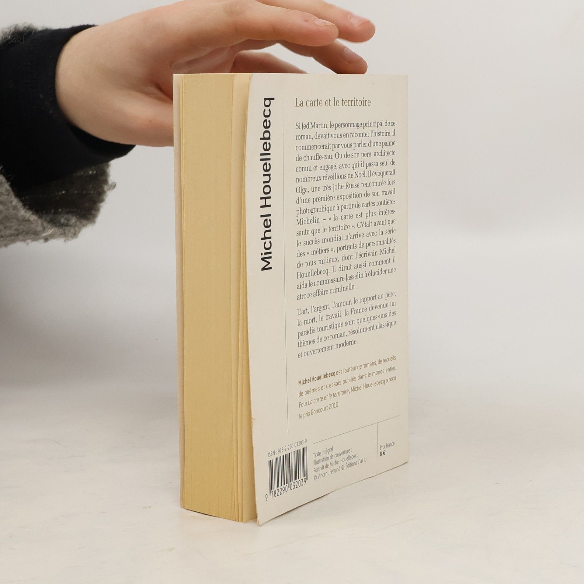 Michel Houellebecq La carte et le territoire