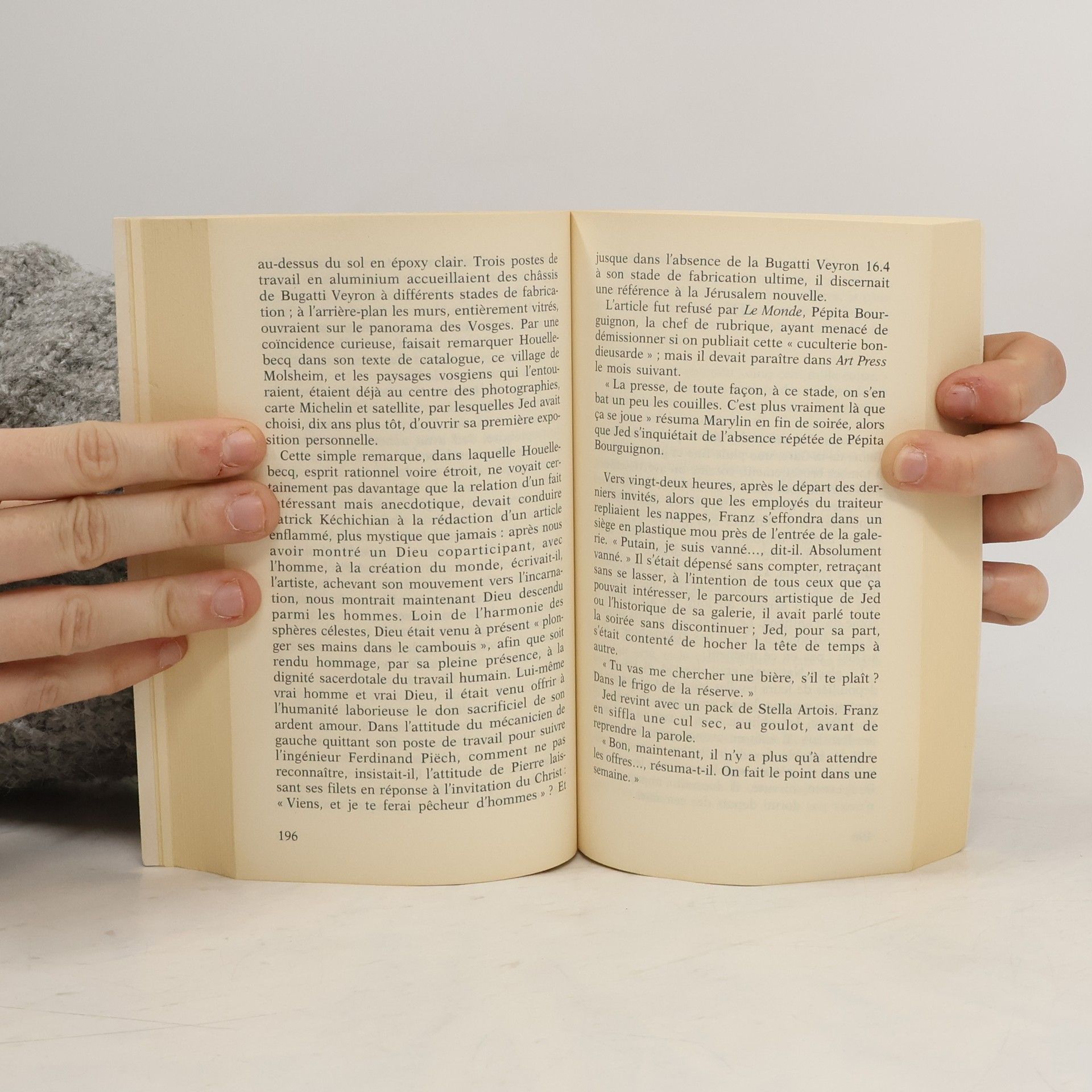 Michel Houellebecq La carte et le territoire