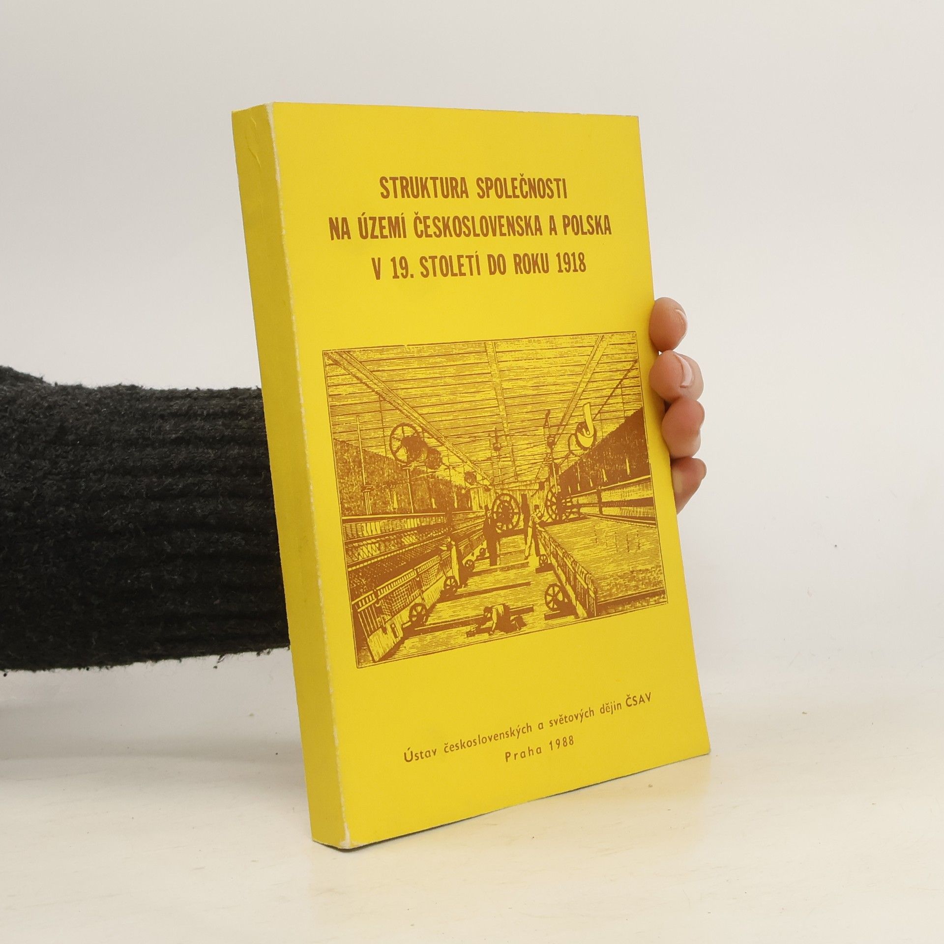 František Hejl Struktura společnosti na území Československa a Polska v 19. století do roku 1918