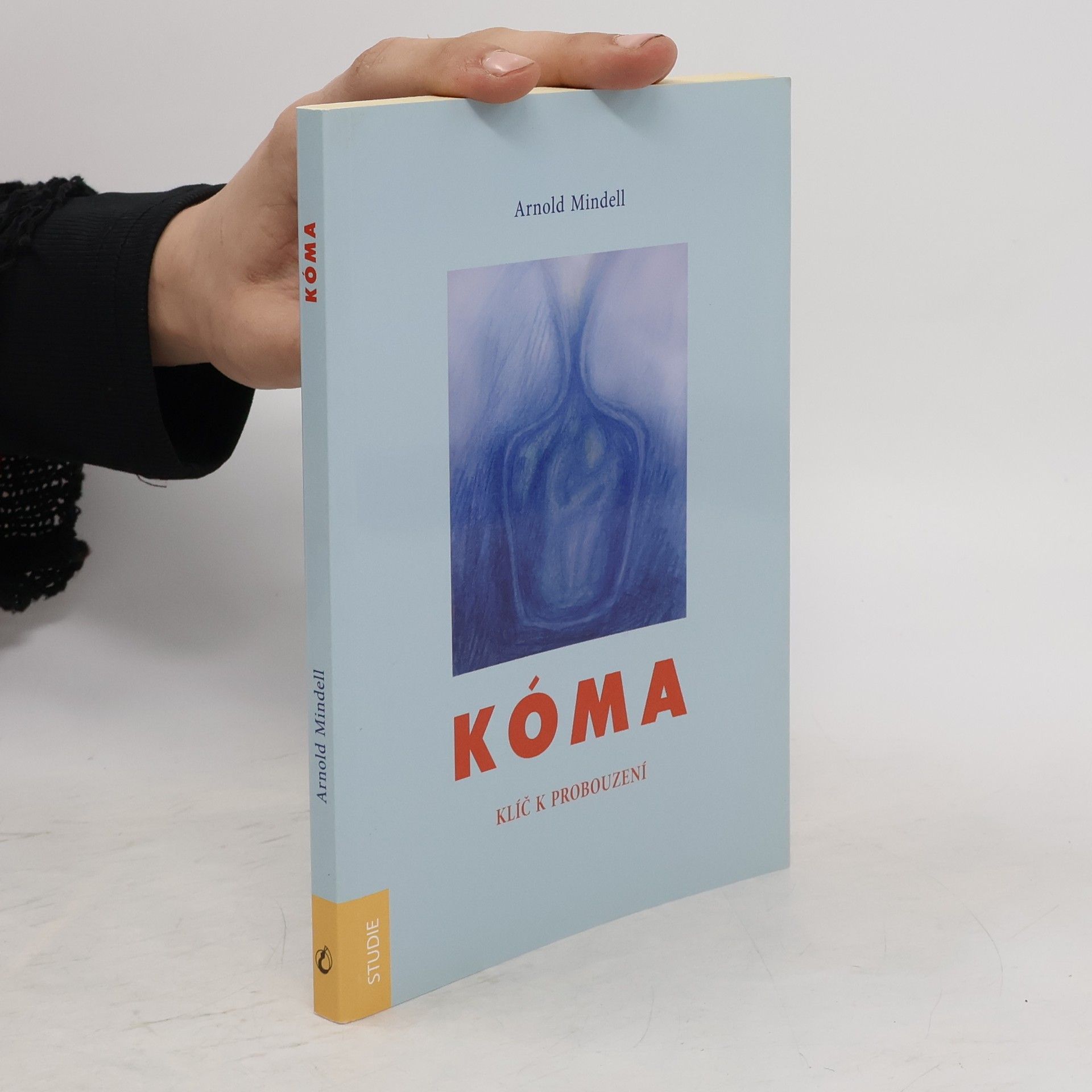 Arnold Mindell Kóma : klíč k probuzení