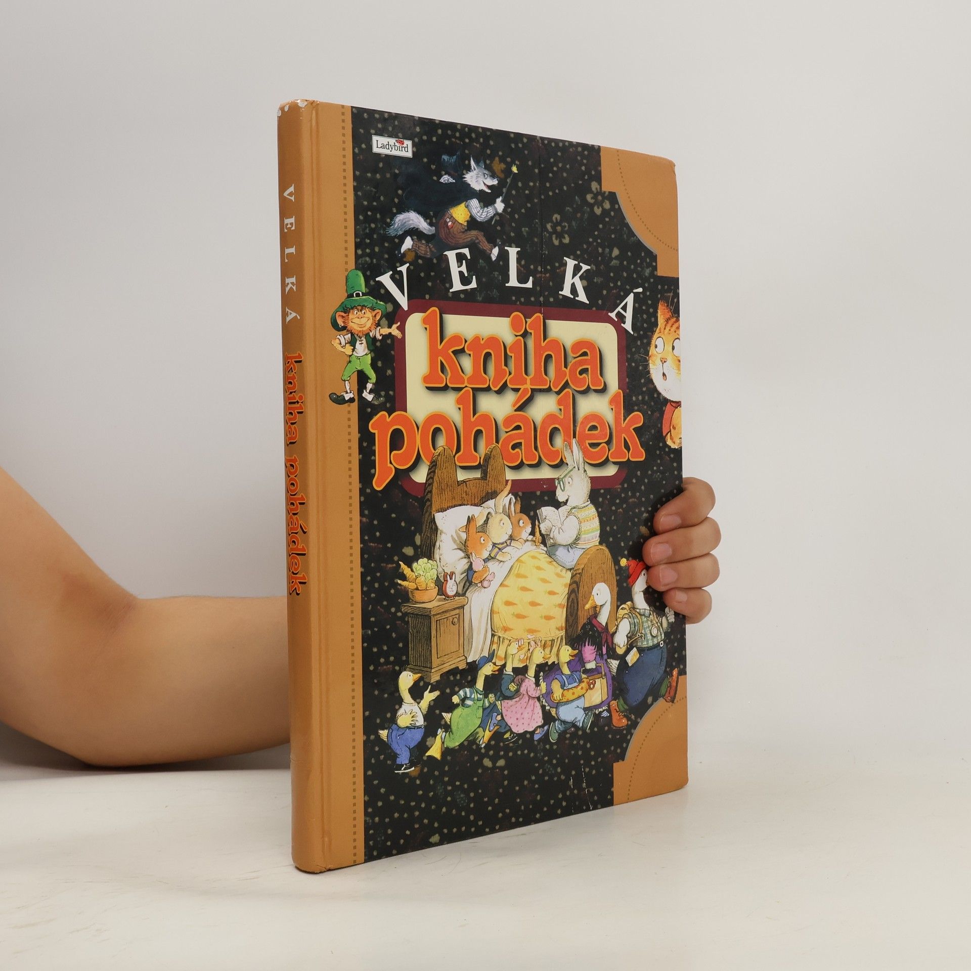 Autorenkollektiv Velká kniha pohádek