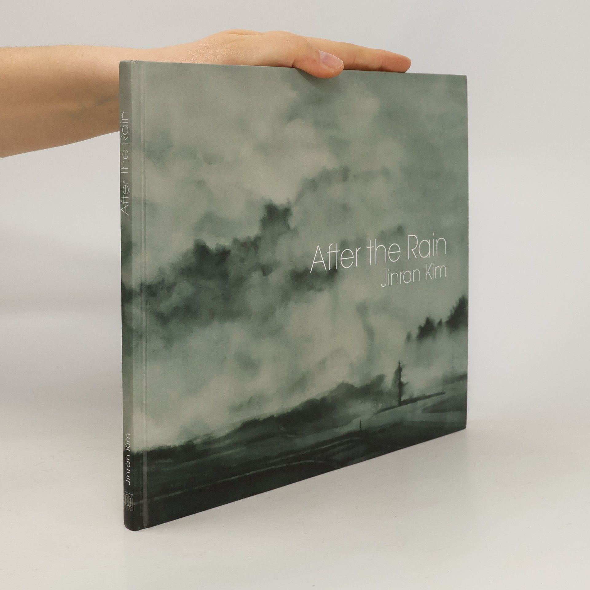 Jinran Kim After the Rain - Jinran Kim