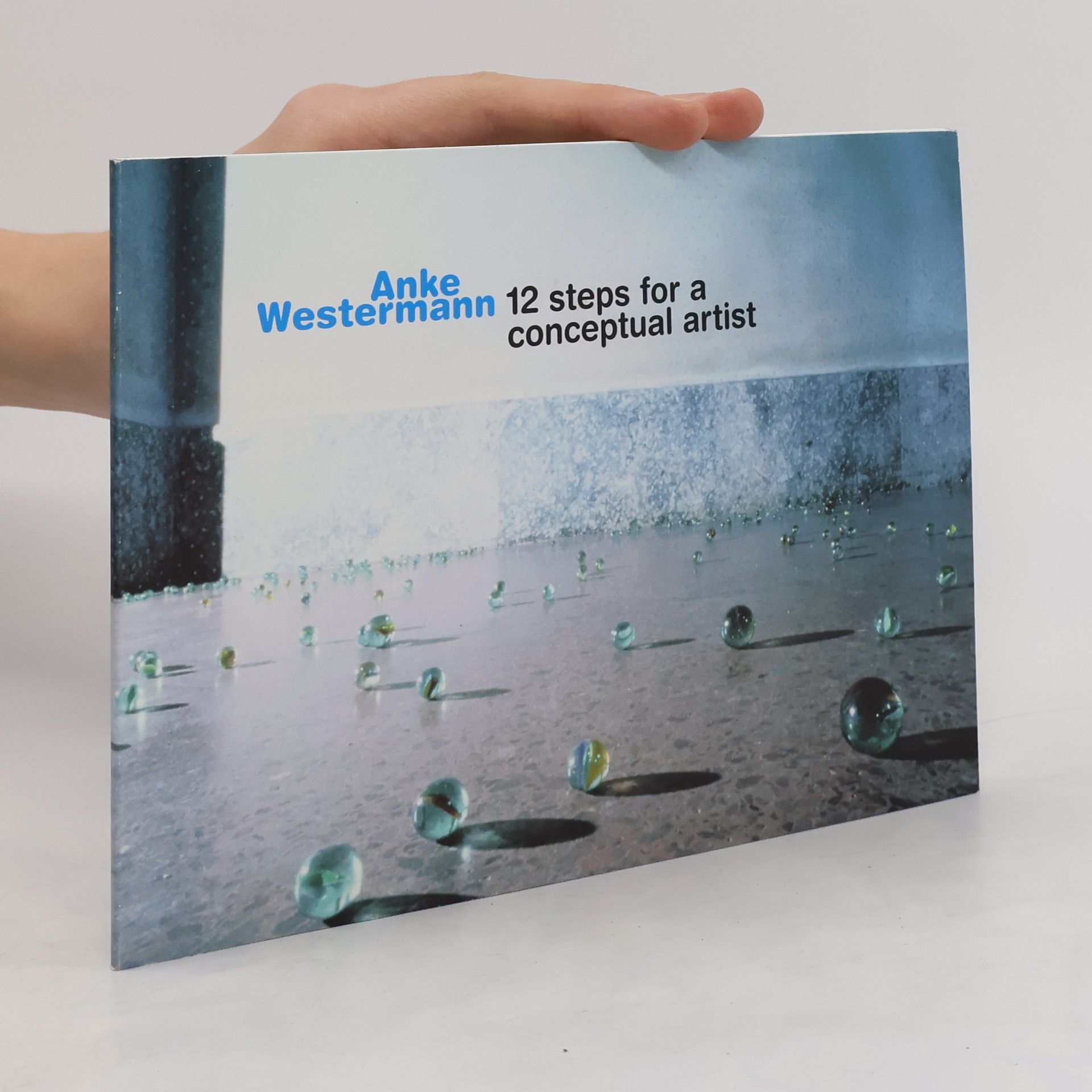 Anke Westermann Anke Westermann, 12 steps for a conceptual artist