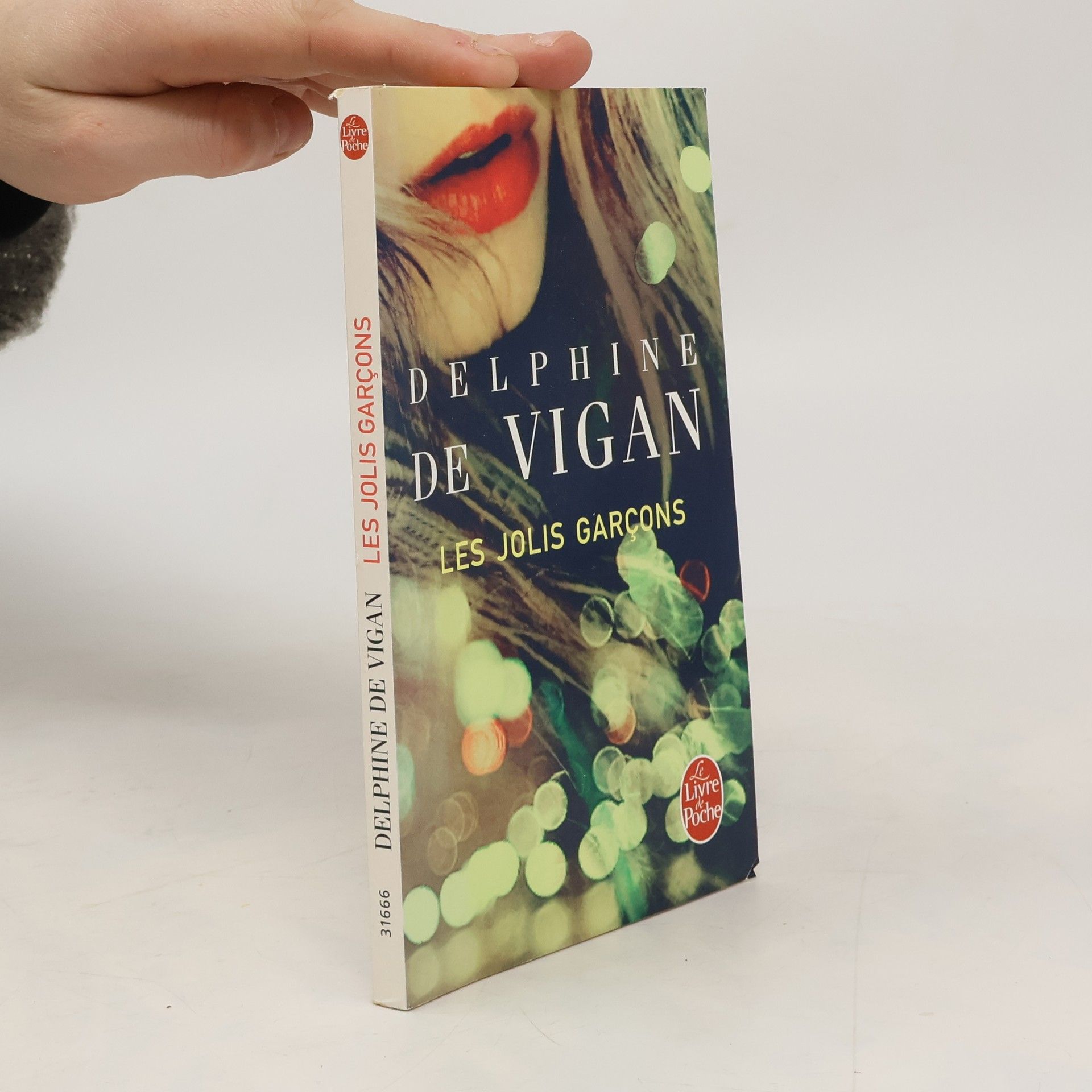 Delphine de Vigan Les jolis garçons