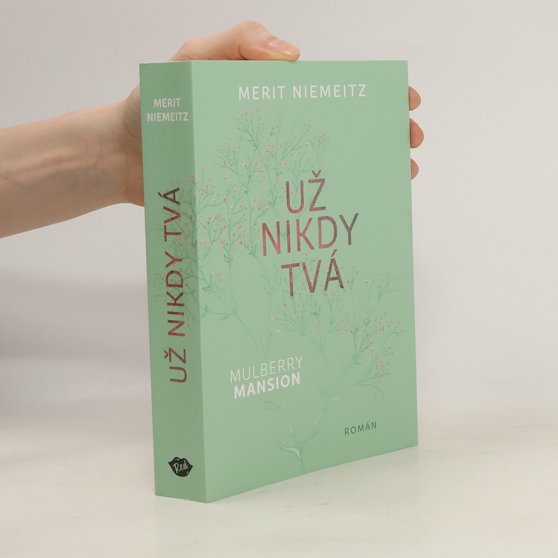 Merit Niemeitz Už nikdy tvá