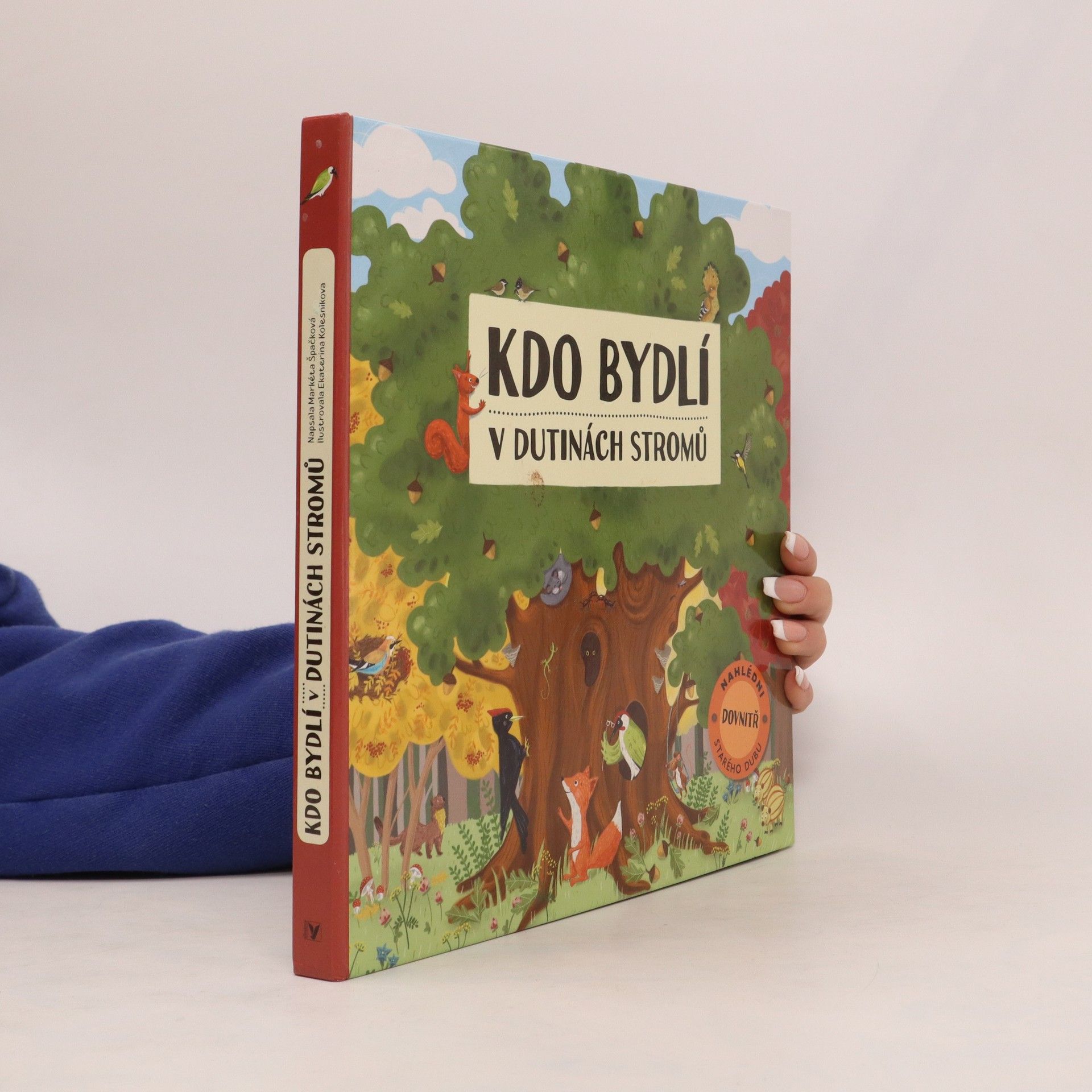 Markéta Špačková Kdo bydlí v dutinách stromů