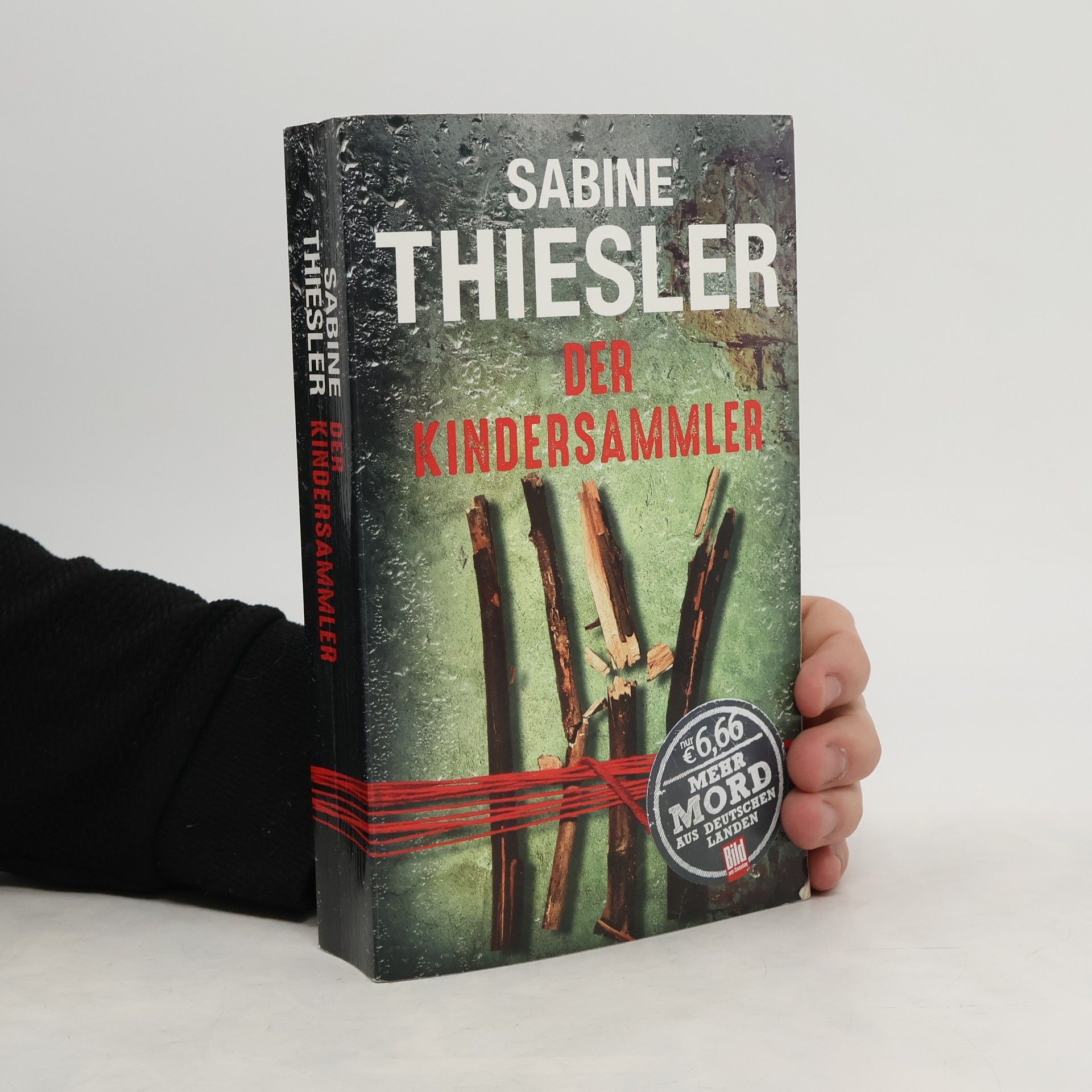 Sabine Thiesler Der Kindersammler