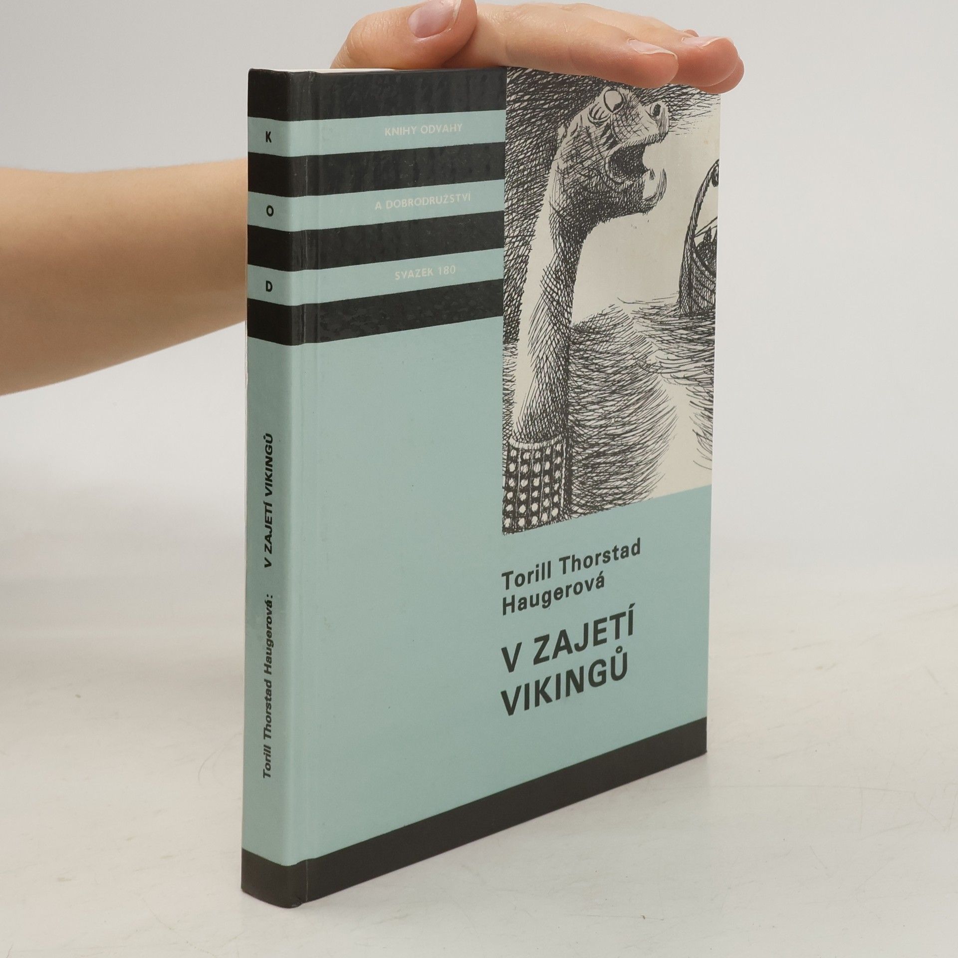Torill Thorstad Hauger V zajetí vikingů