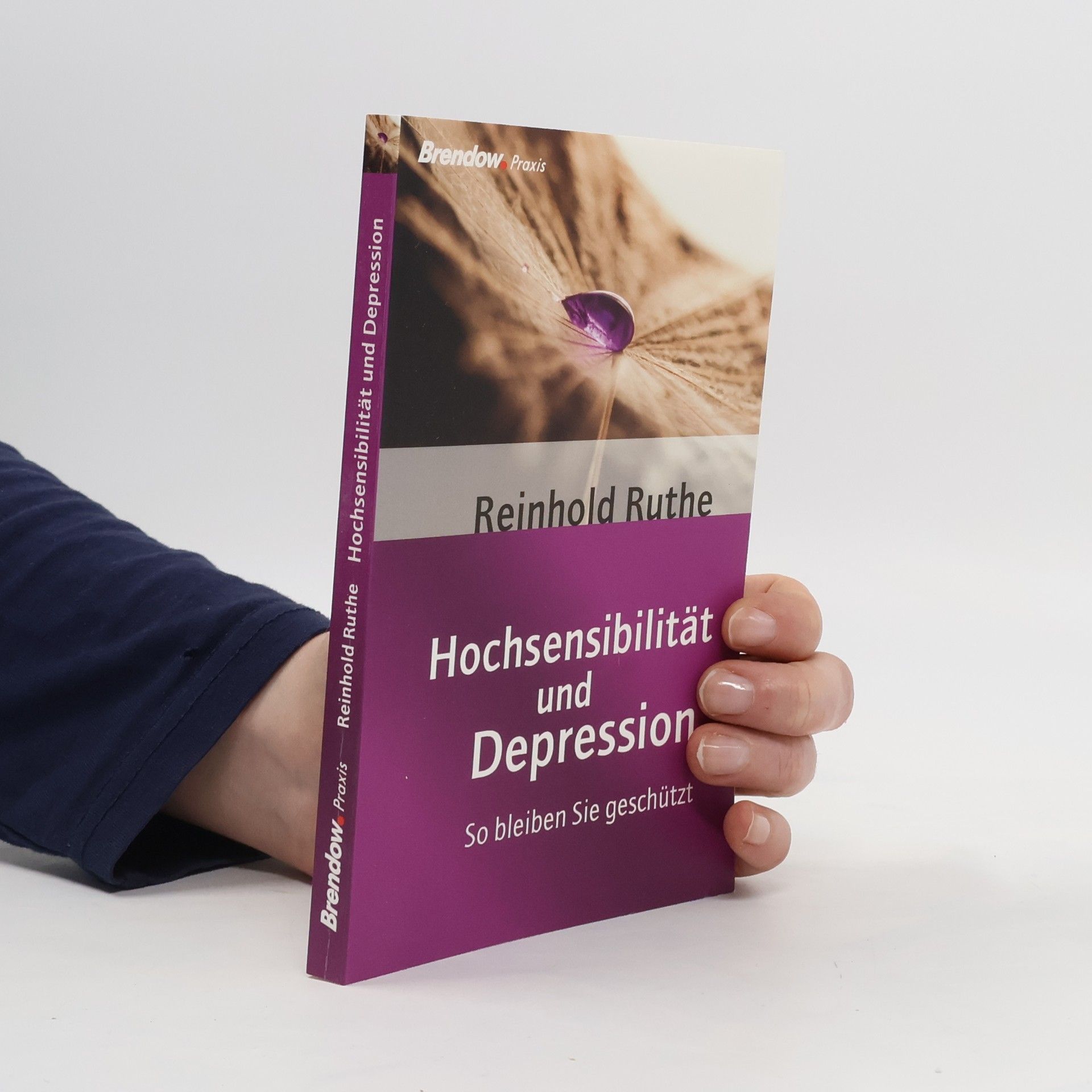 Reinhold Ruthe Hochsensibilität und Depression