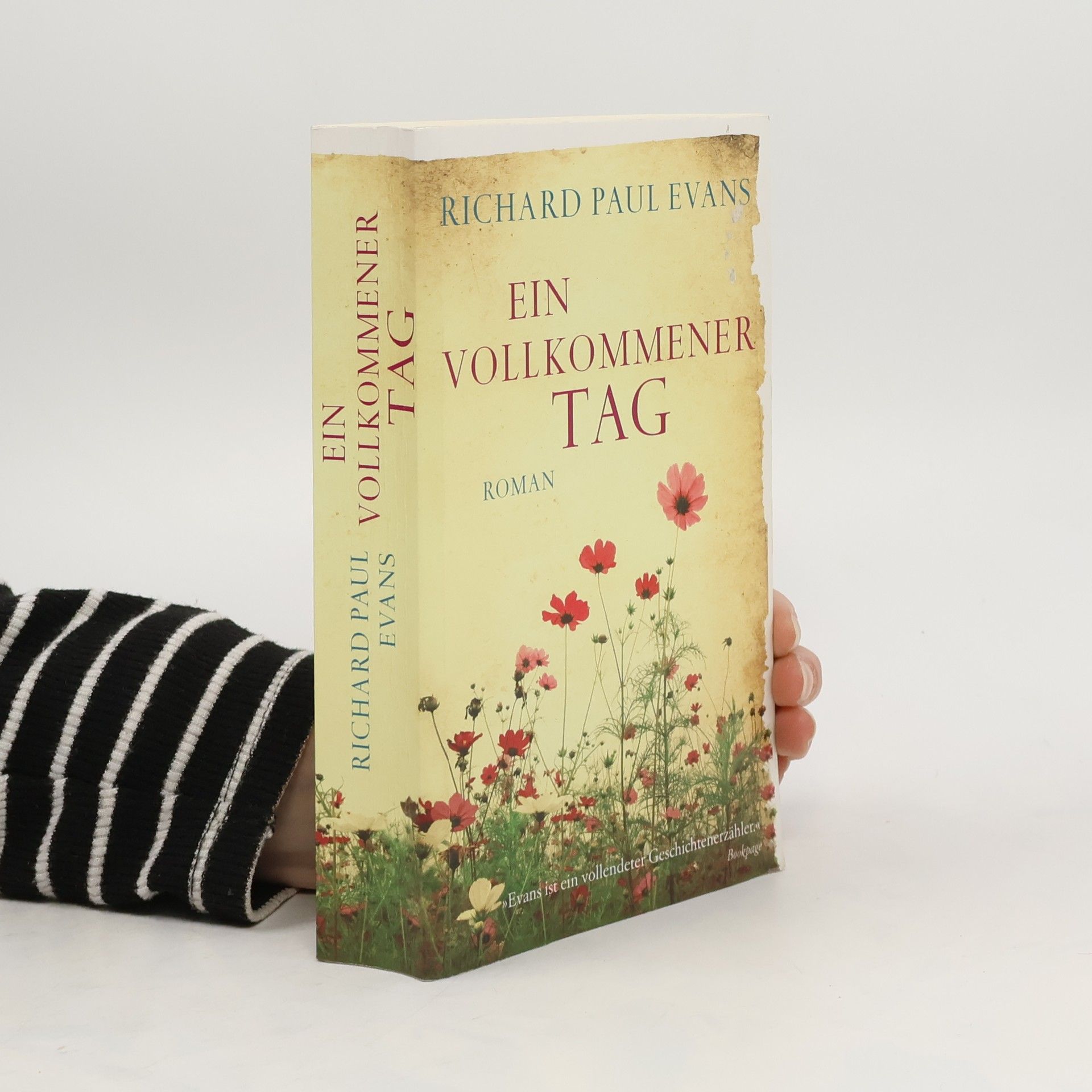 Richard Paul Evans Ein Vollkommener Tag