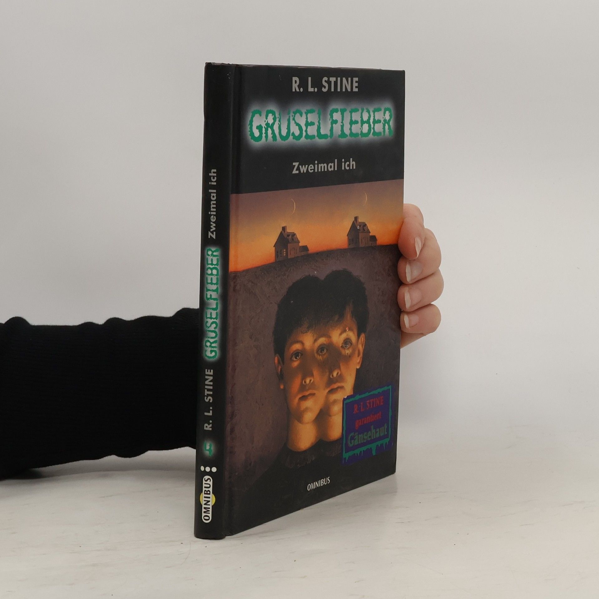 R. L. Stine Gruselfieber
