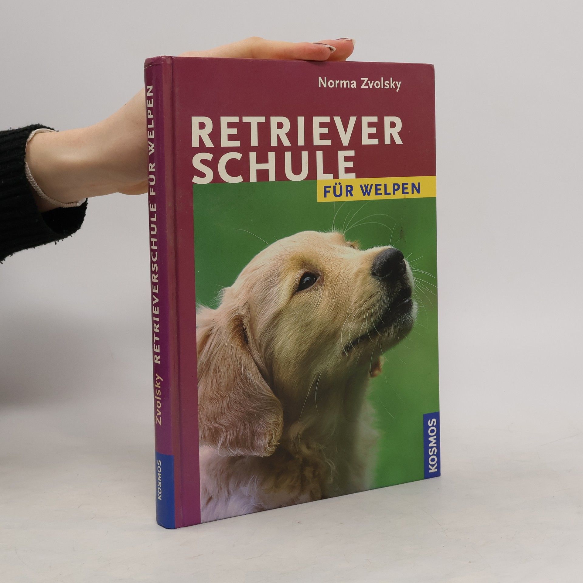 Norma Zvolsky Retrieverschule für Welpen