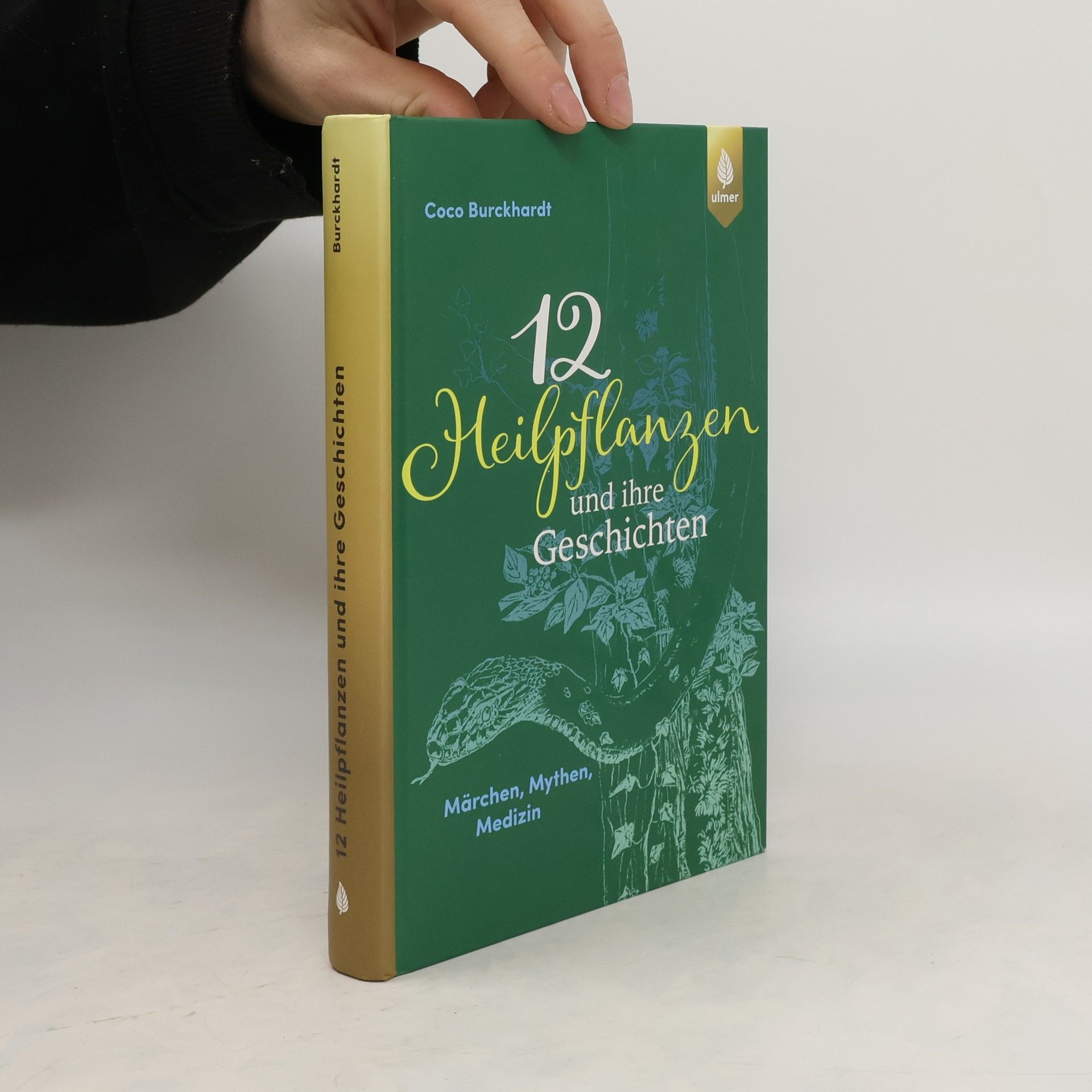 Coco Burckhardt 12 Heilpflanzen und ihre Geschichten