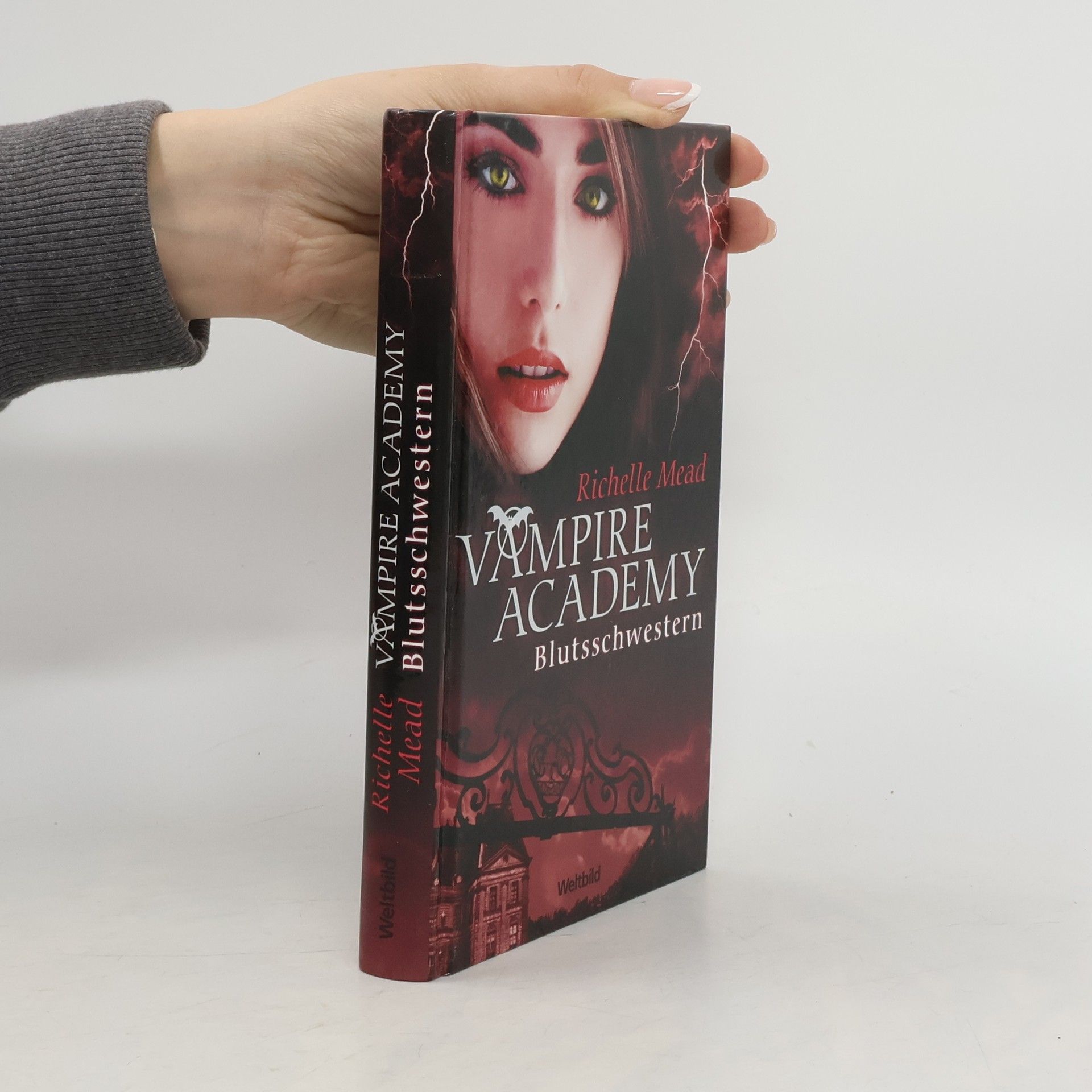 Richelle Mead Vampire Academy. Blutsschwestern