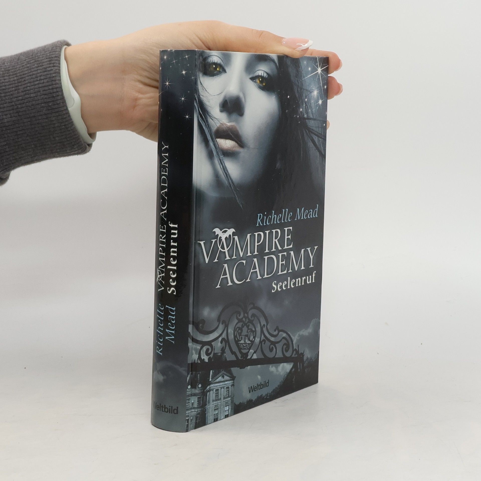 Richelle Mead Vampire Academy - Seelenruf