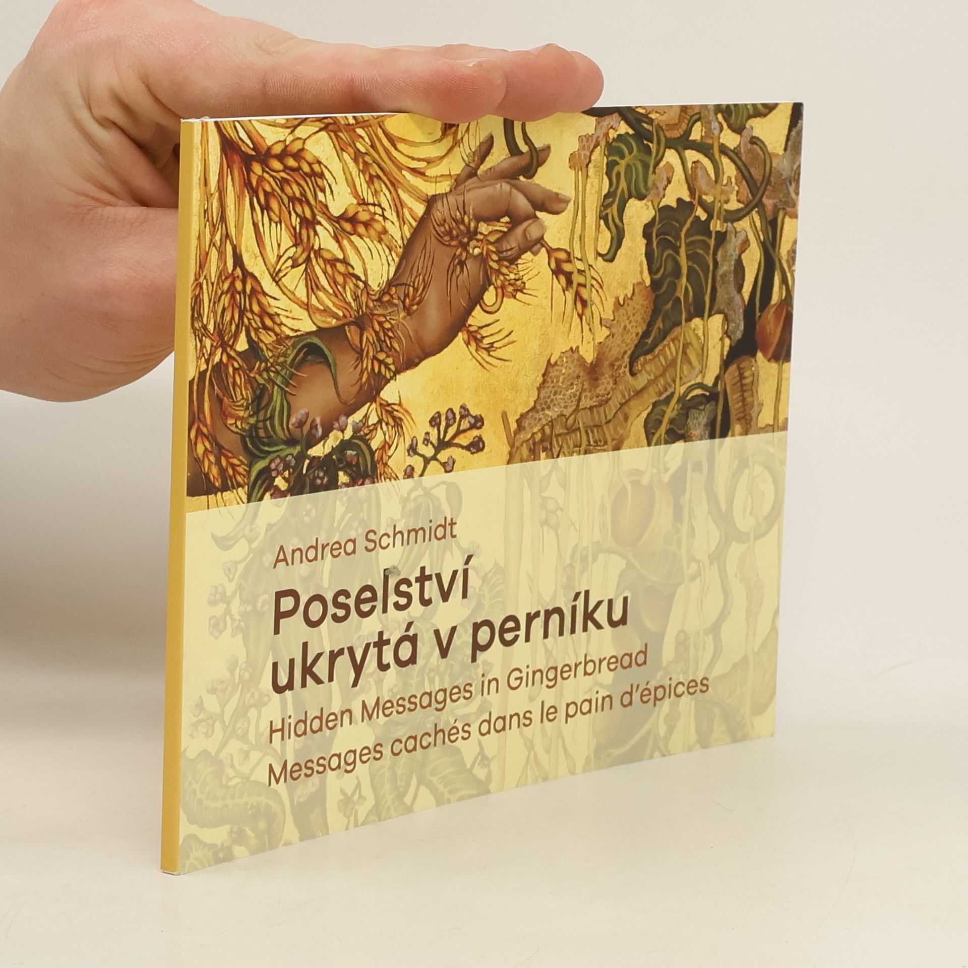 Alena Šalamonová Andrea Schmidt : poselství ukrytá v perníku = hidden messages in gingerbread = messages cachés dans le pain d'épices