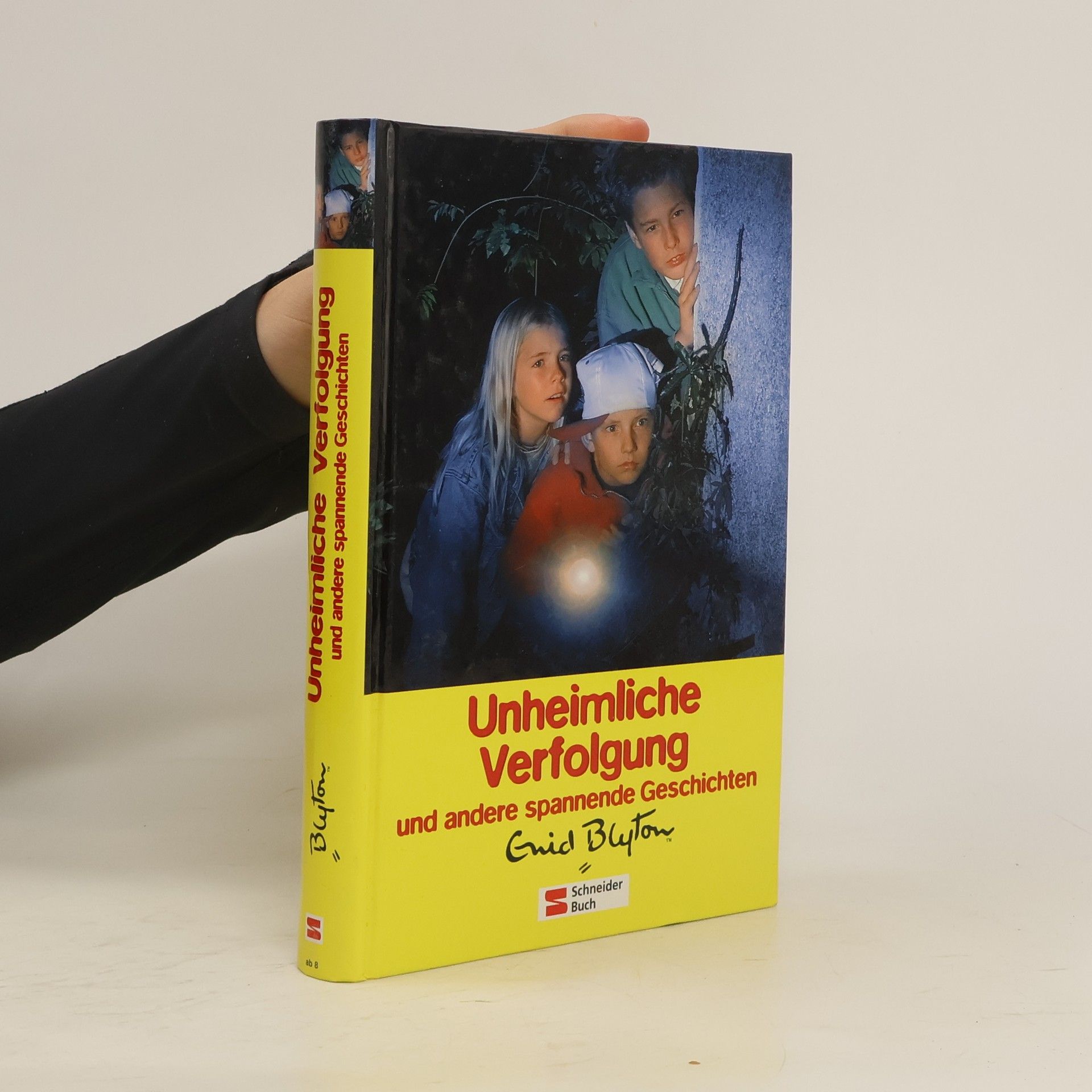 Enid Blyton Unheimliche Verfolgung und andere spannende Geschichten