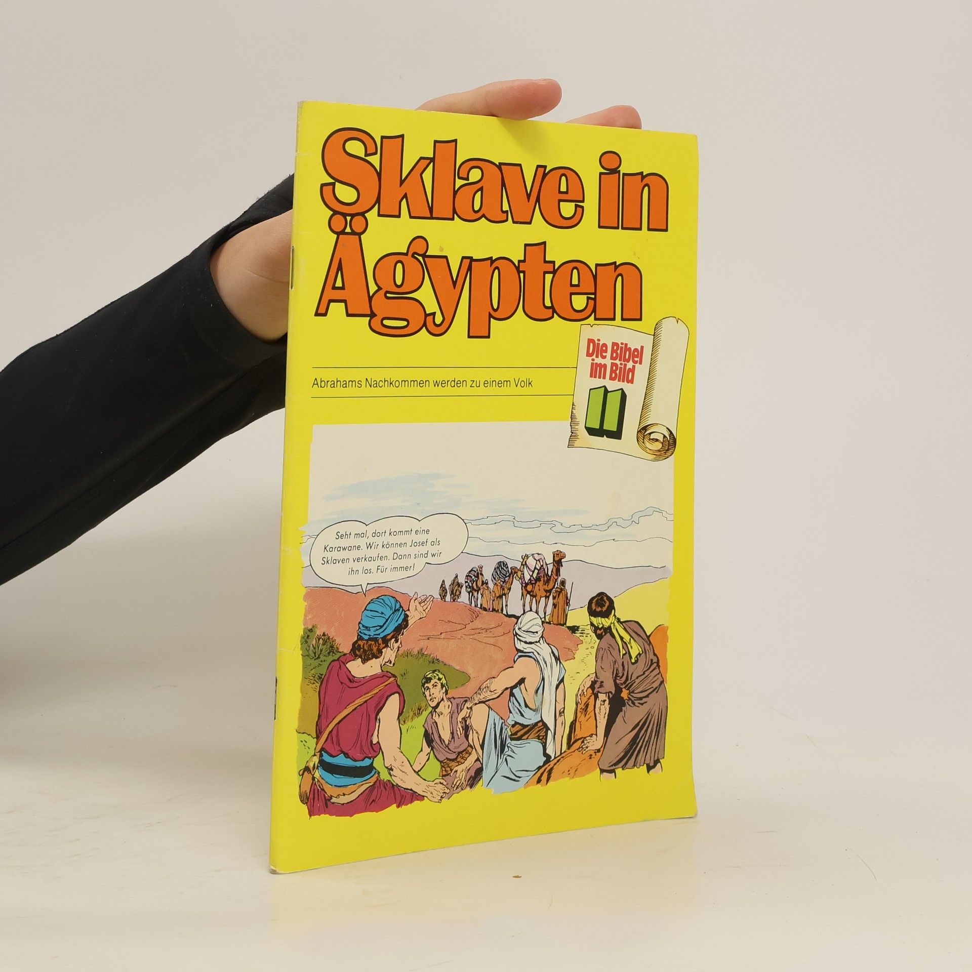 Autorenkollektiv Sklave in Ägypten. Die Bibel im Bild 11.