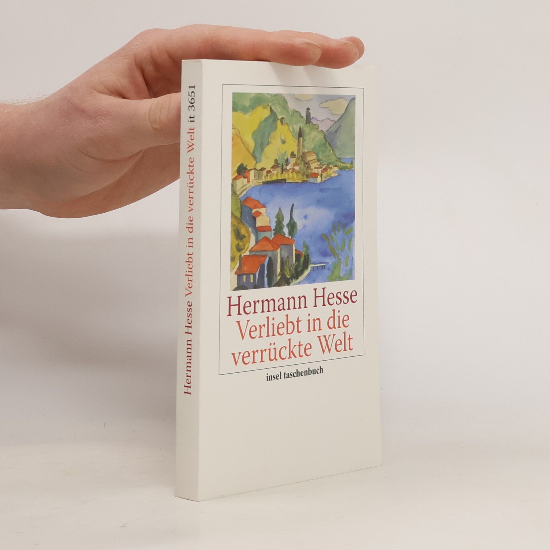 Hermann Hesse Verliebt in die verrückte Welt