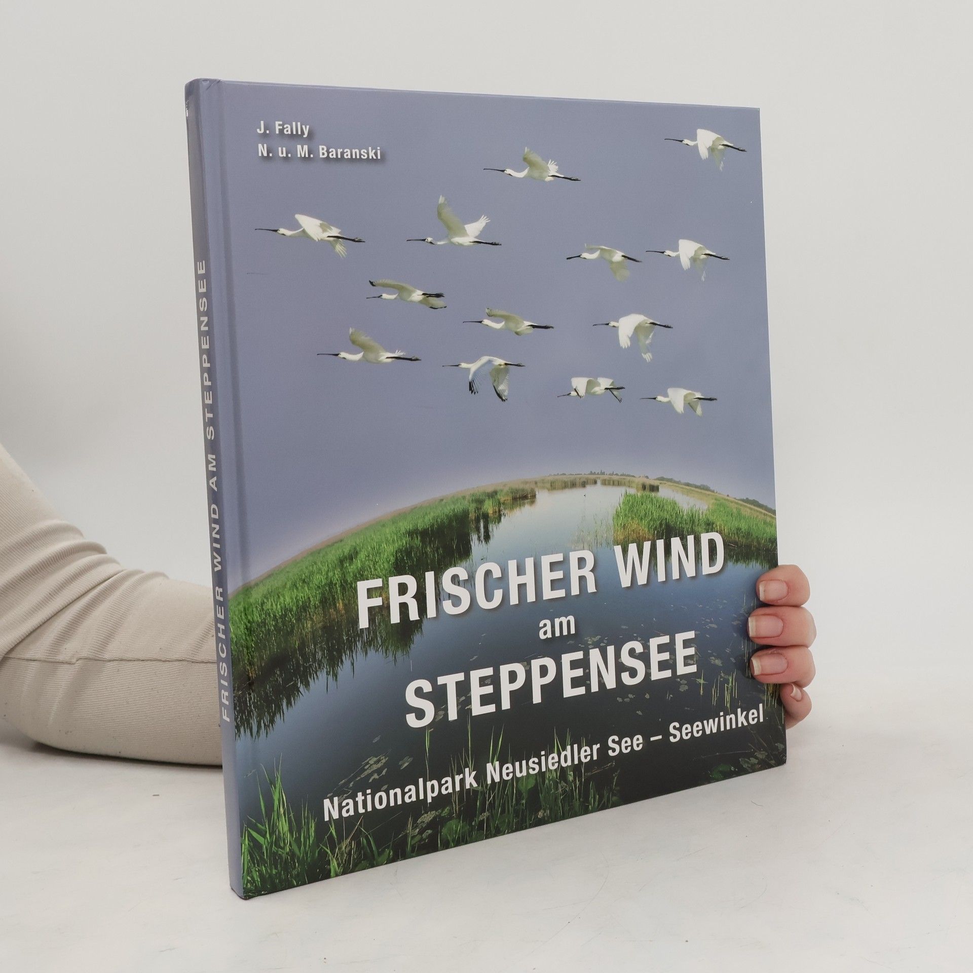 Frischer Wind am Steppensee