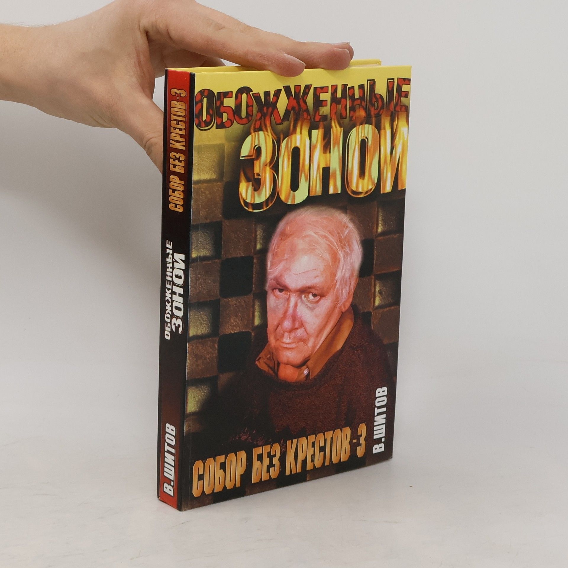Vladimir Nikolaevich Shitov Собор без крестов-3