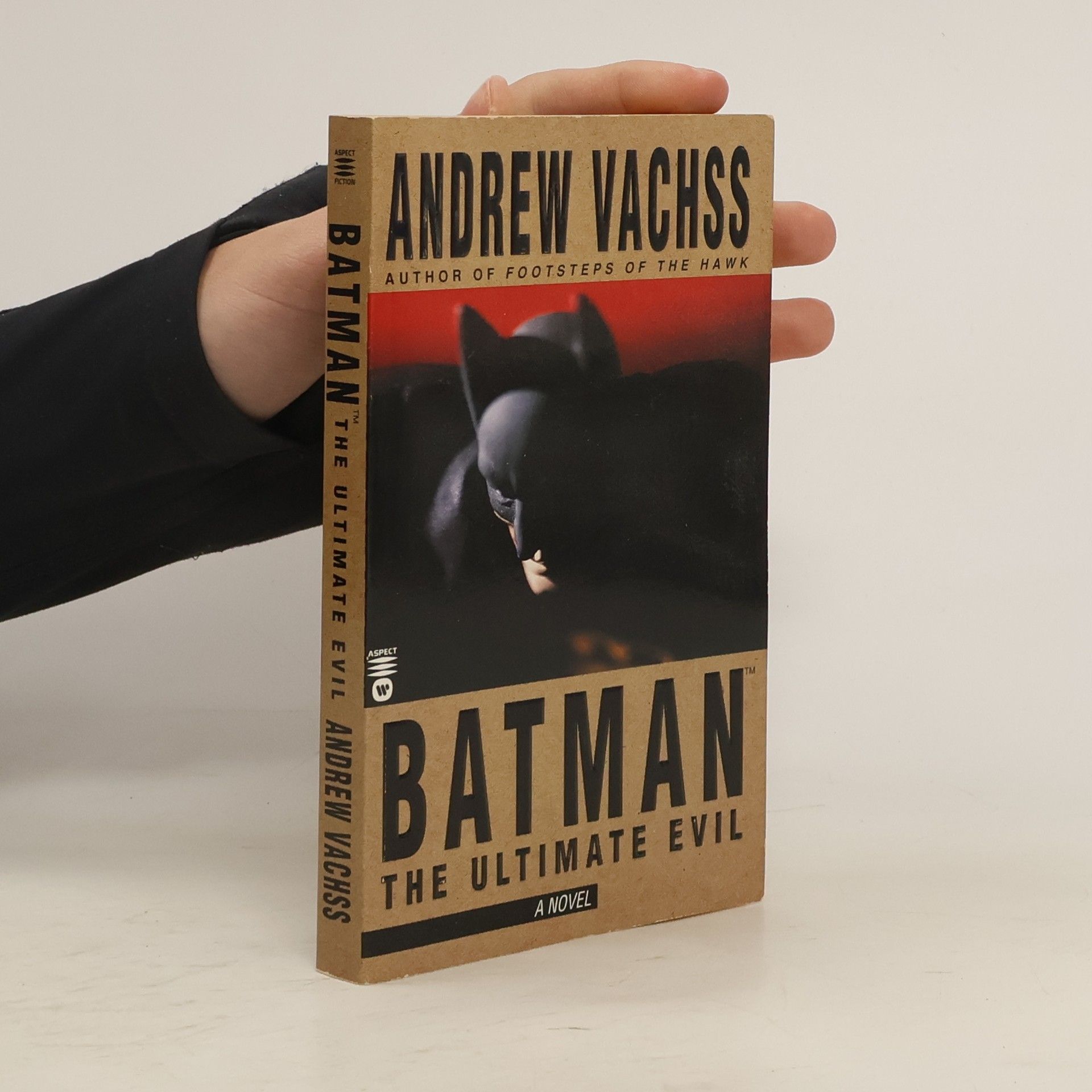 Andrew Vachss Batman