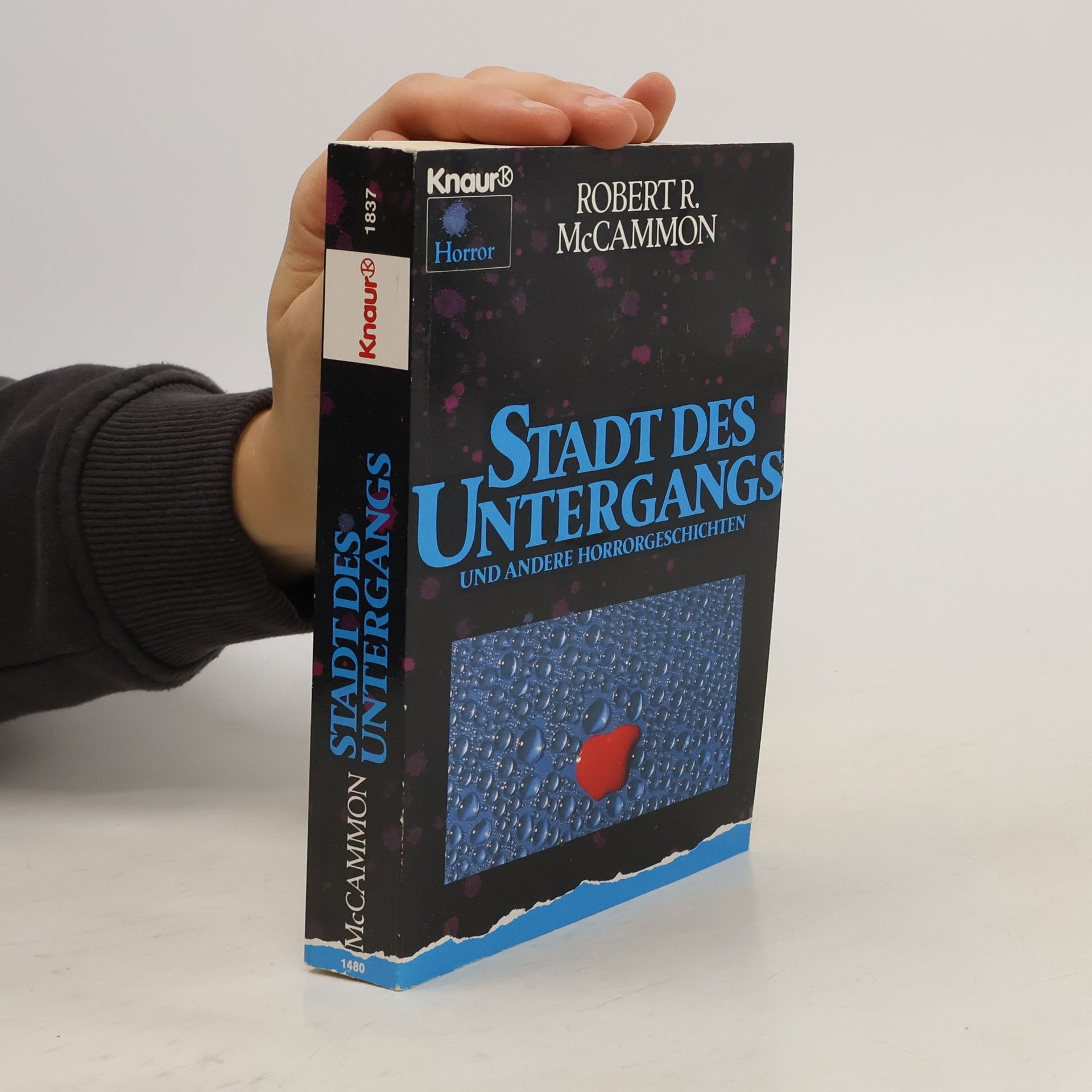 Robert R. McCammon Stadt des Untergangs und andere Horrorgeschichten. Horror