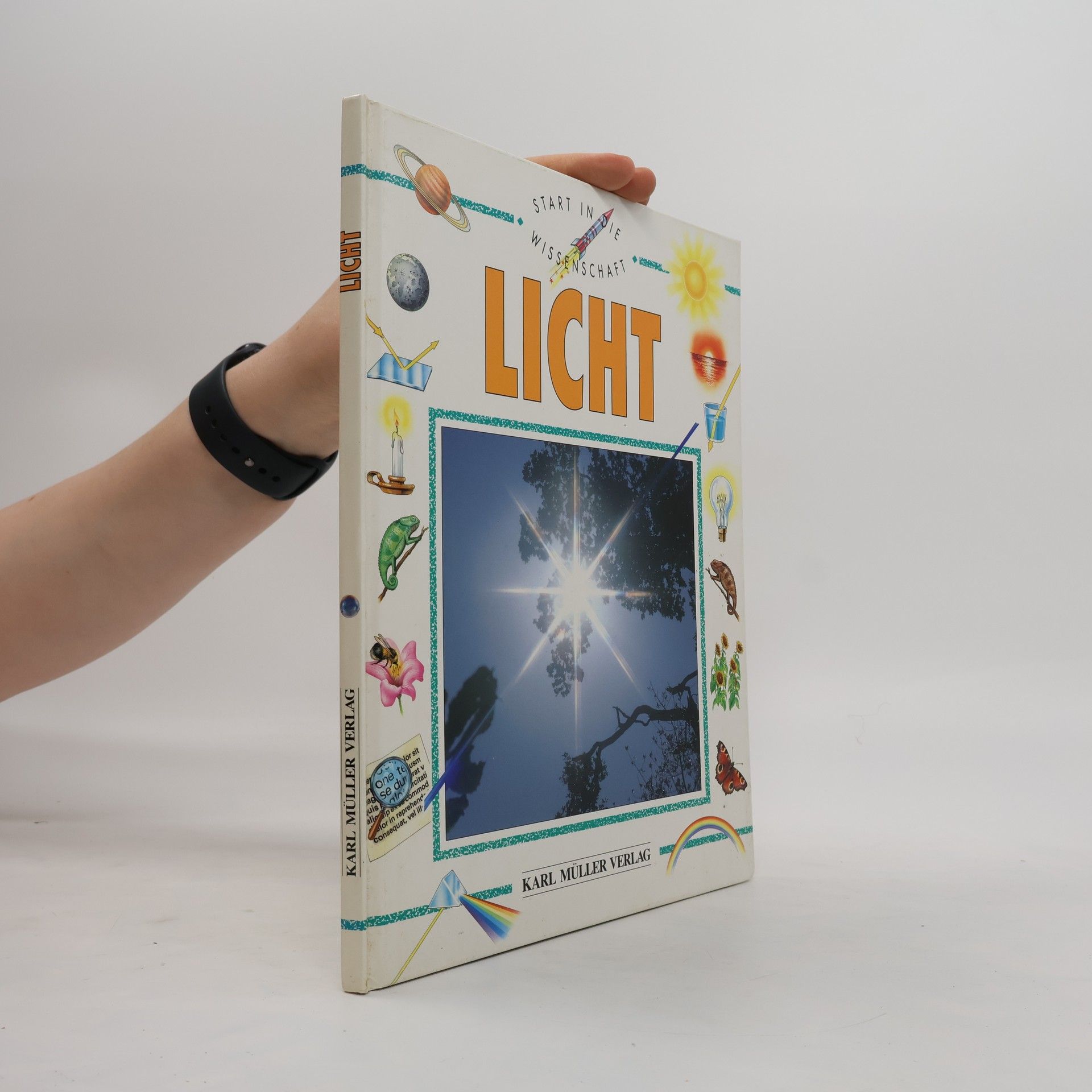 Kim Taylor Licht