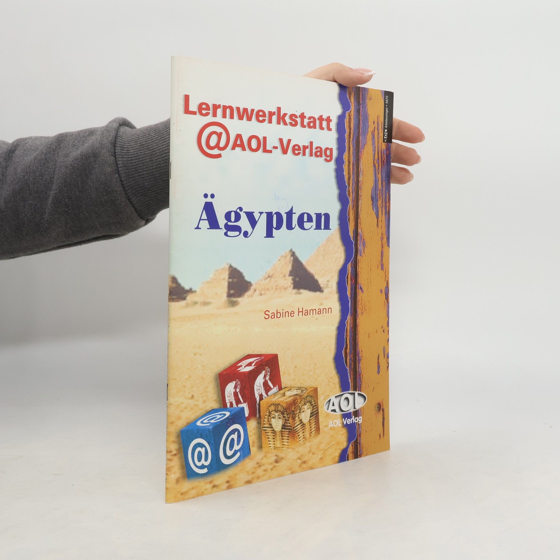 Sabine Hamann Lernwerkstatt _372AOL-Verlag