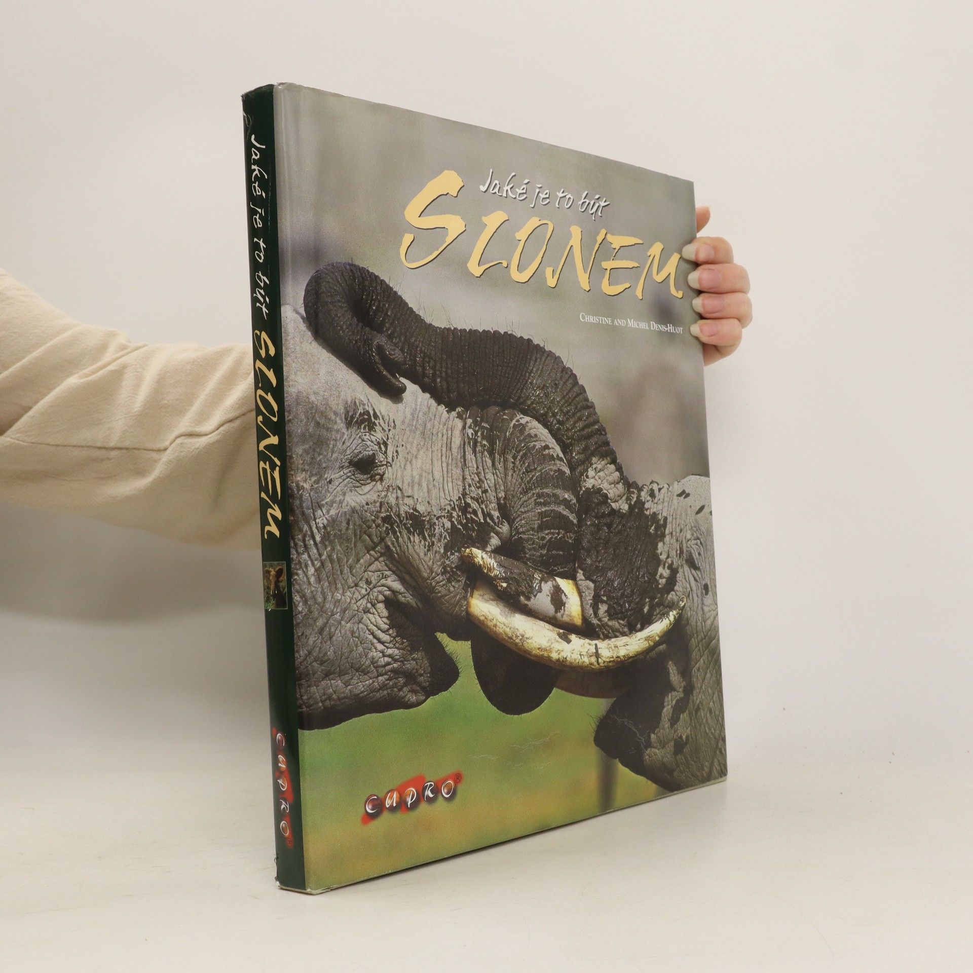 kolektiv Jaké je to být slonem