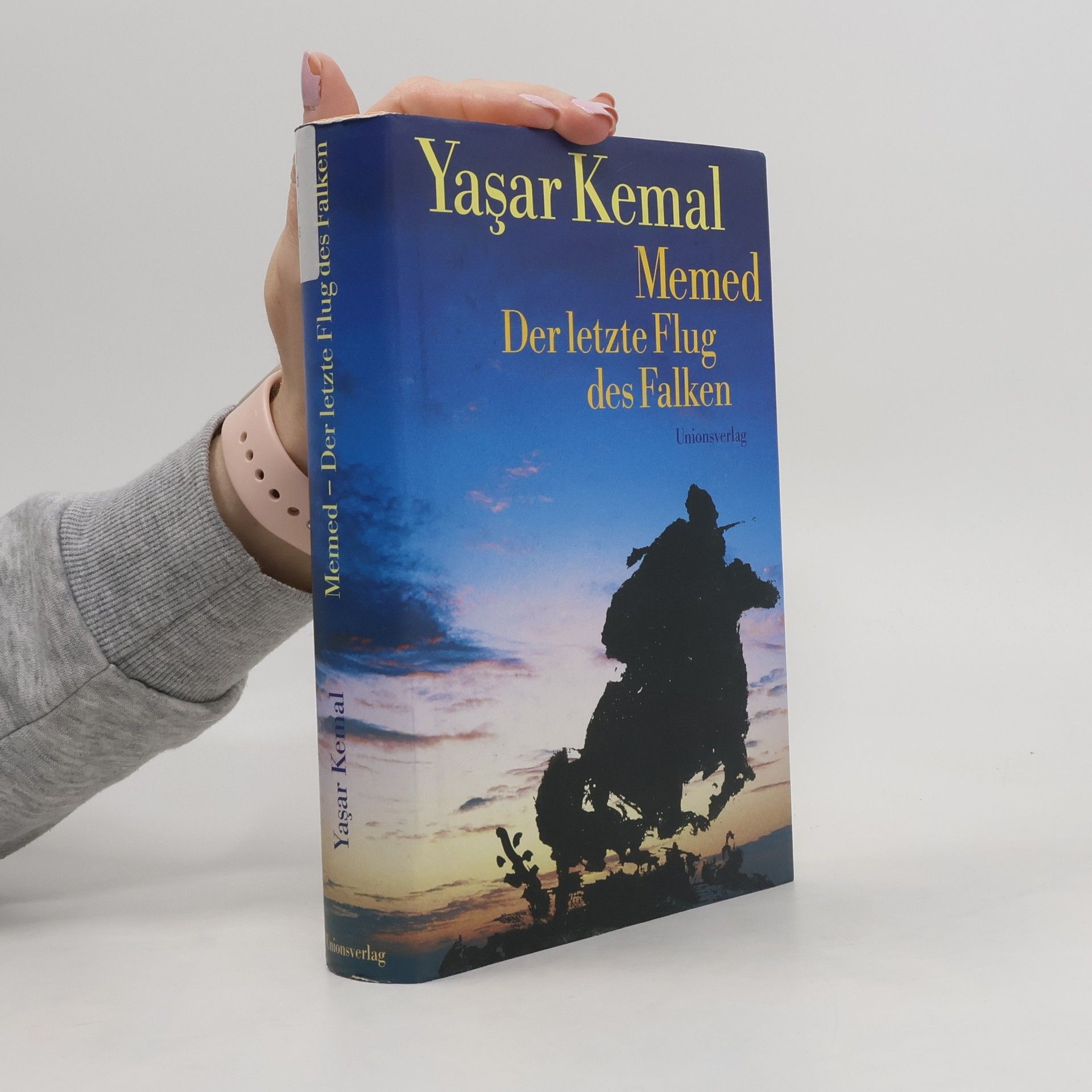 Yaşar Kemal Memed, der letzte Flug des Falken