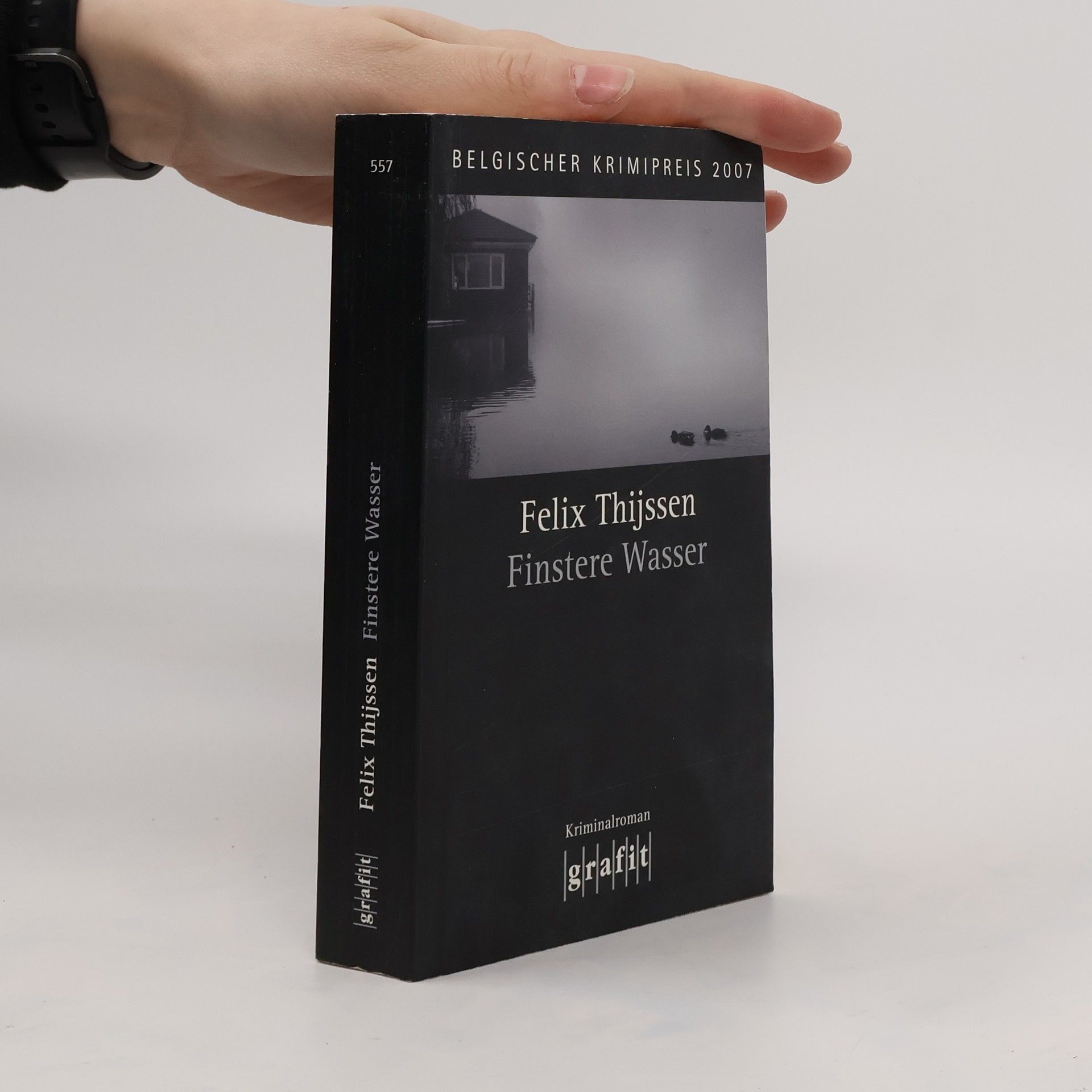 Felix Thijssen Finstere Wasser