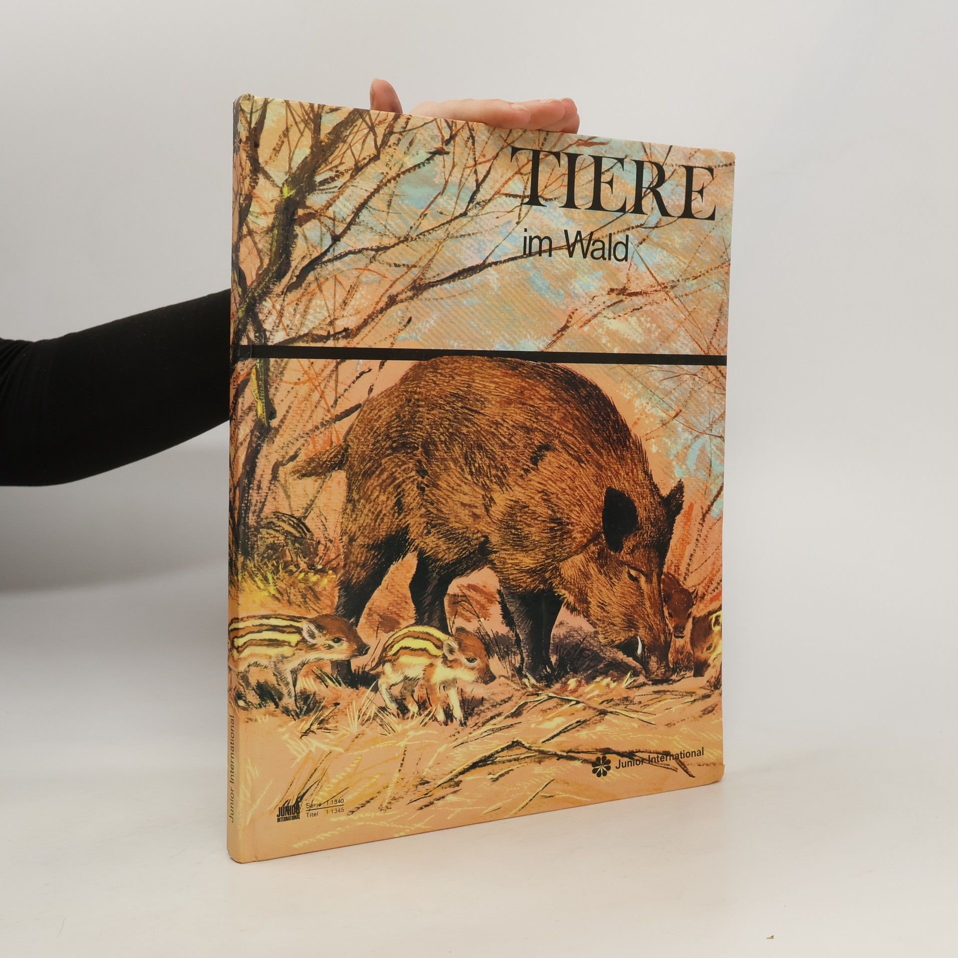Walter Mahringer Tiere im Wald