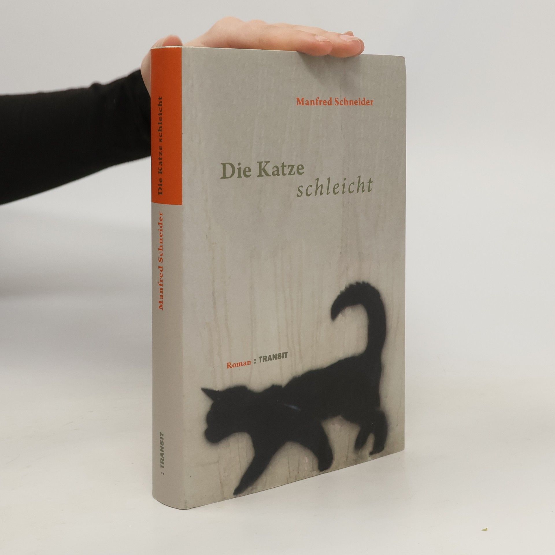 Manfred Schneider Die Katze schleicht