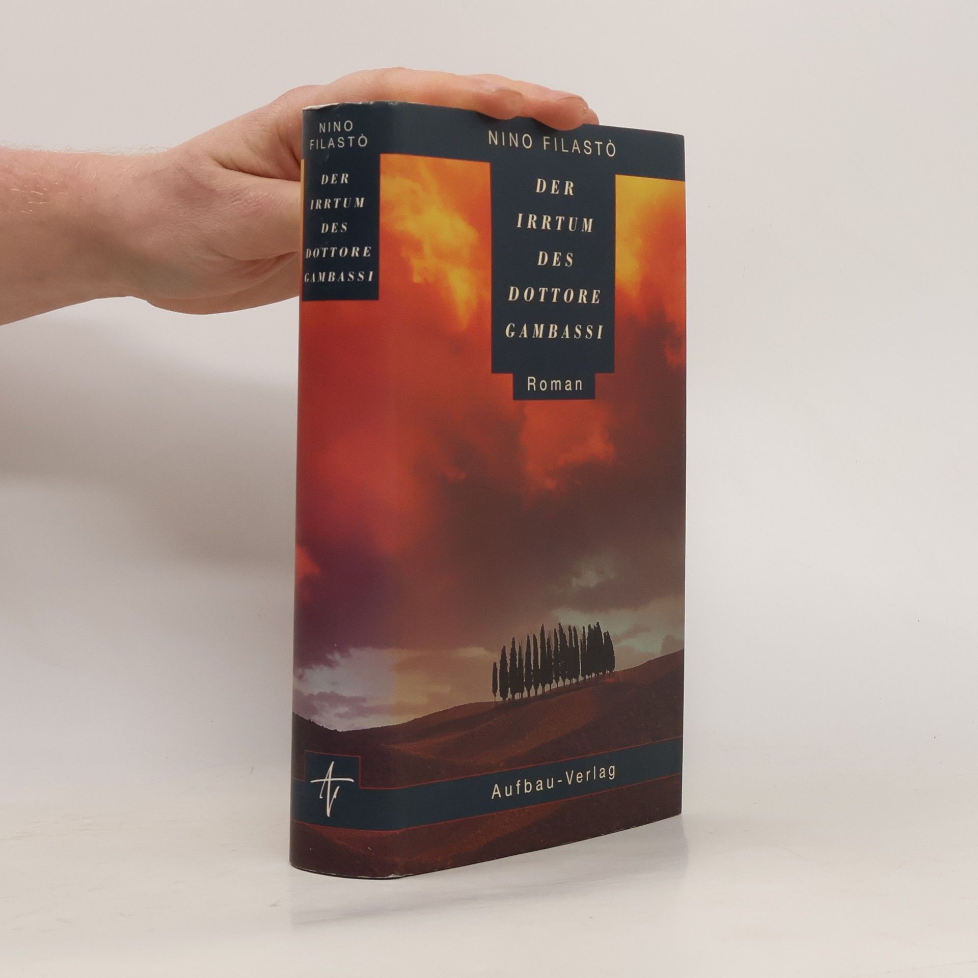 Nino Filasto Der Irrtum des Dottore Gambassi