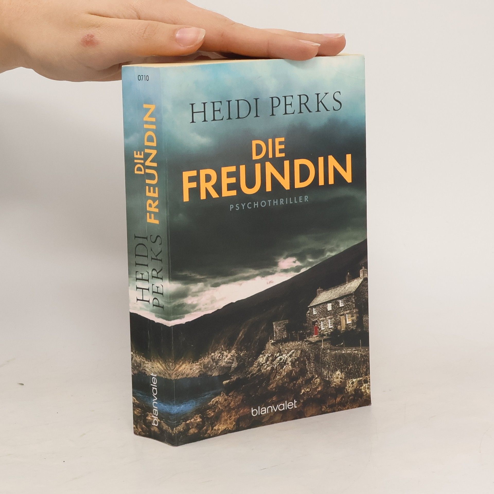 Heidi Perks Die Freundin