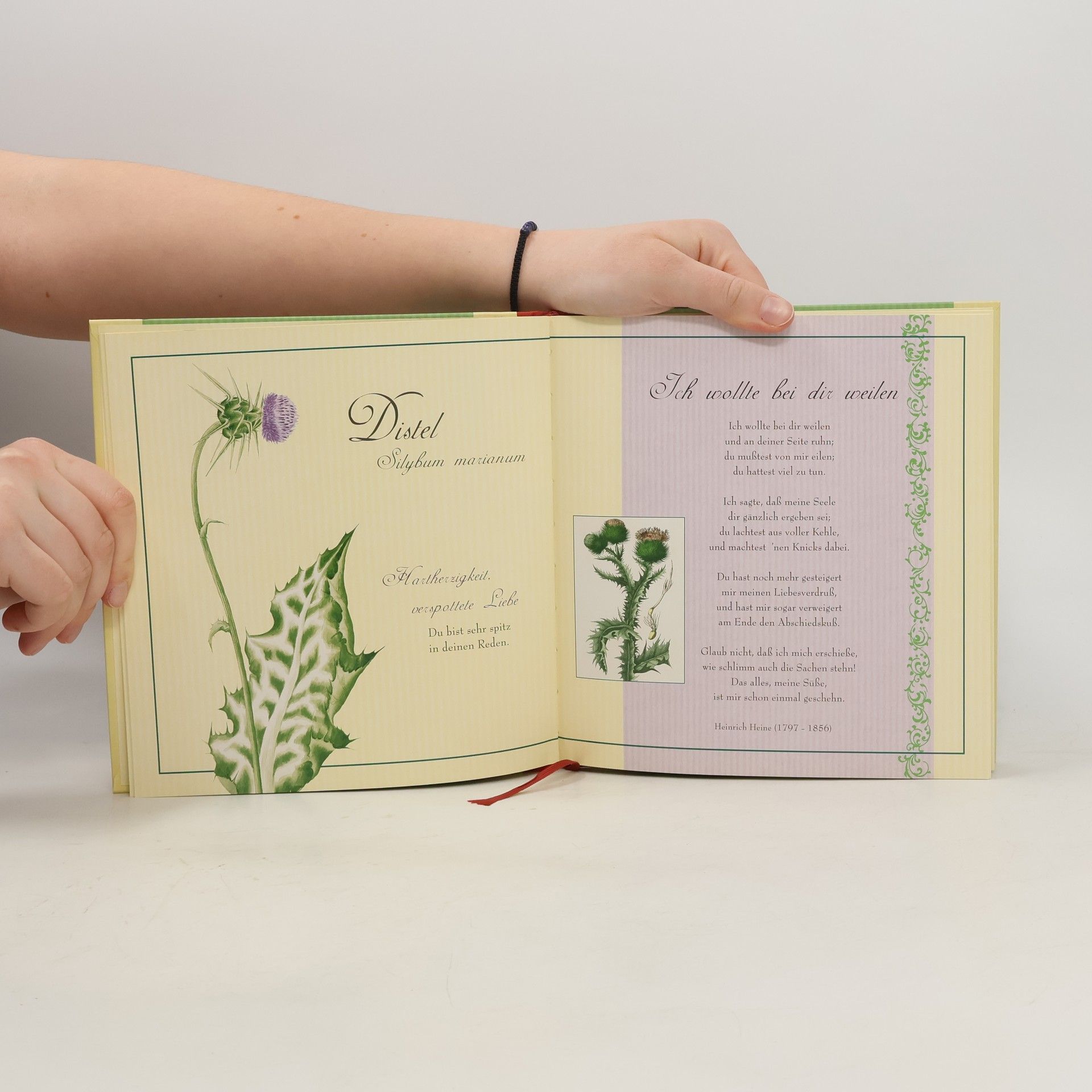 Sylvia Tress Es deuten die Blumen manch heimliches Wort. Geheimnisse der Blumensprache