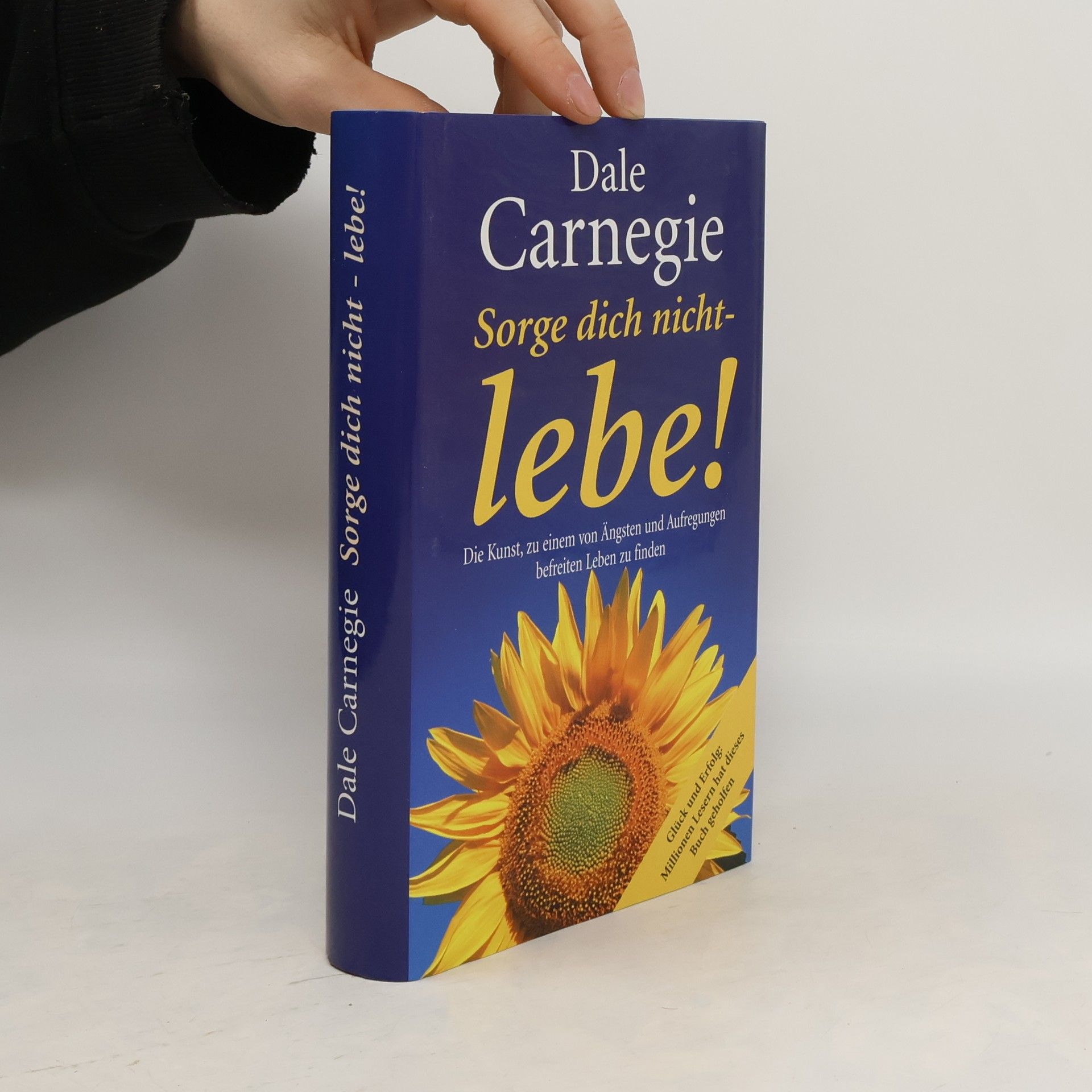 Dale Carnegie Sorge dich nicht - lebe!