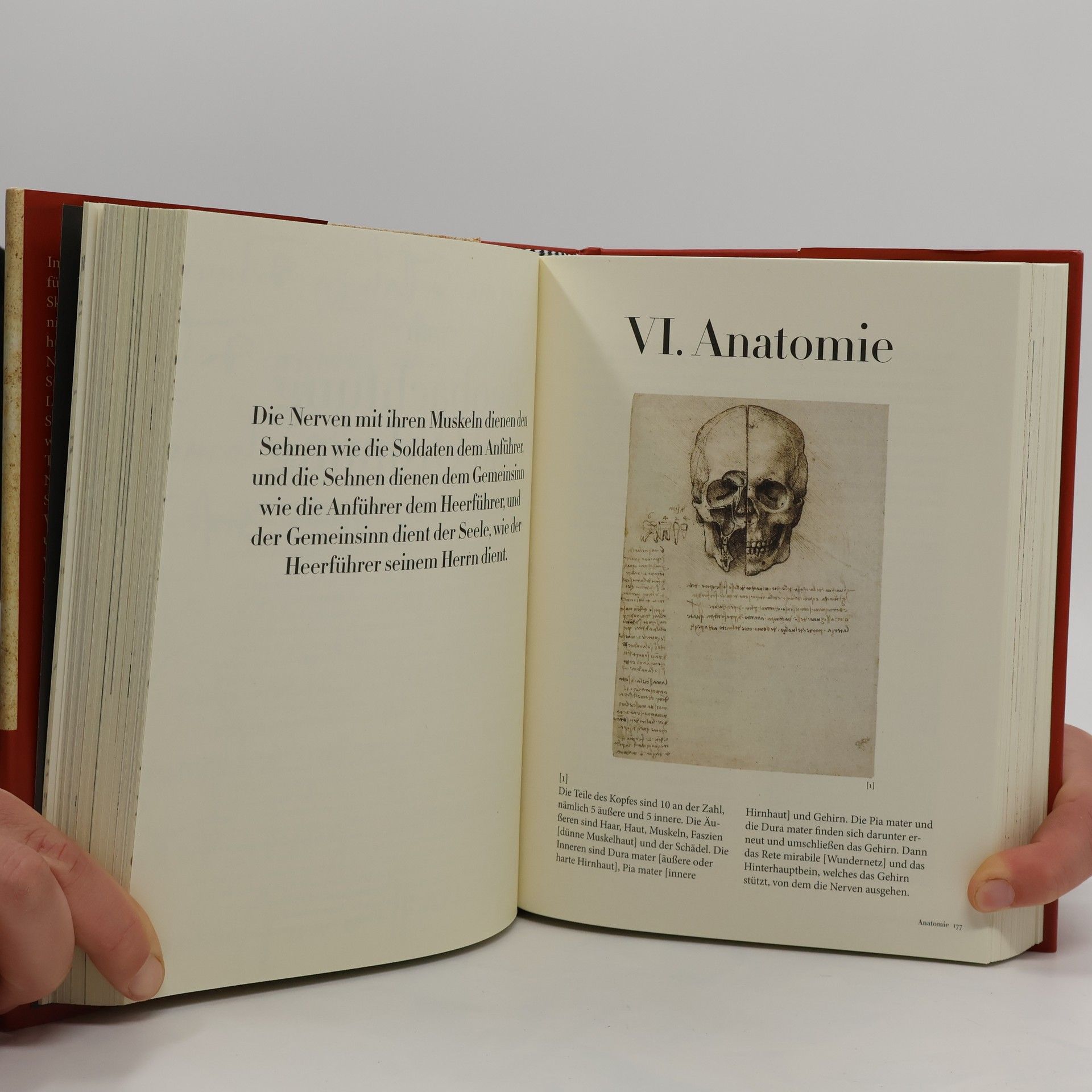 H. Anna Suh Leonardo's Skizzenbücher