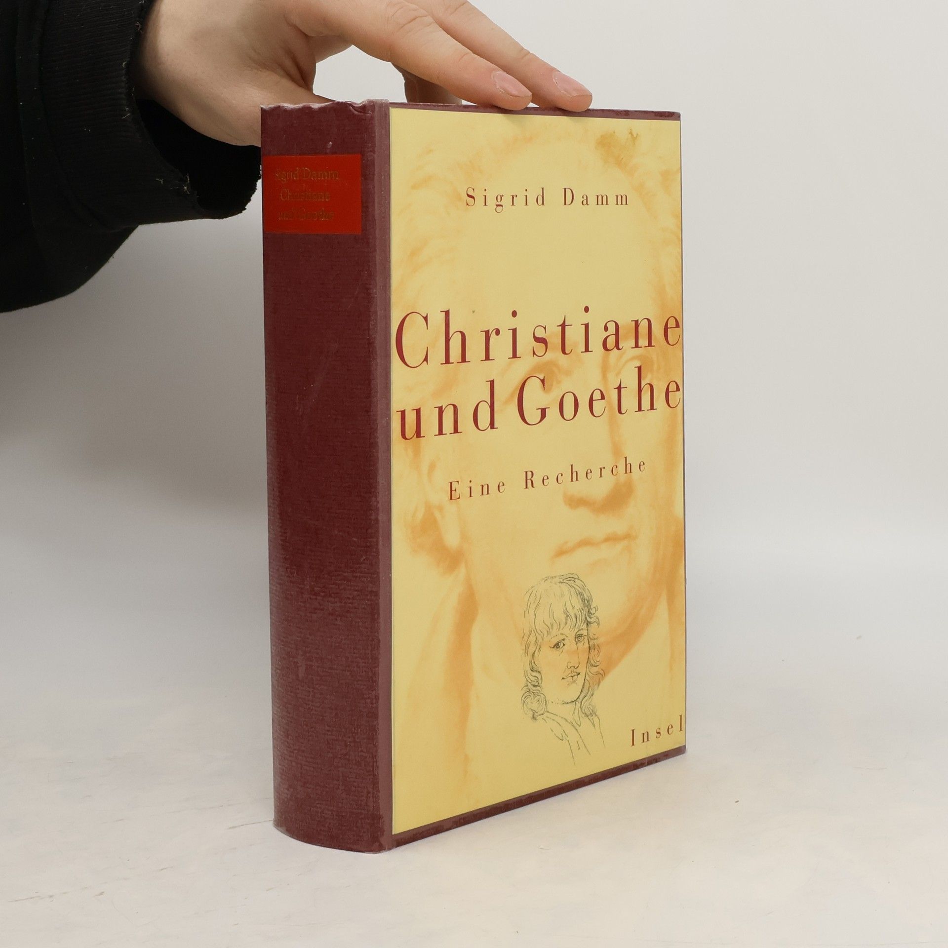 Sigrid Damm Christiane und Goethe