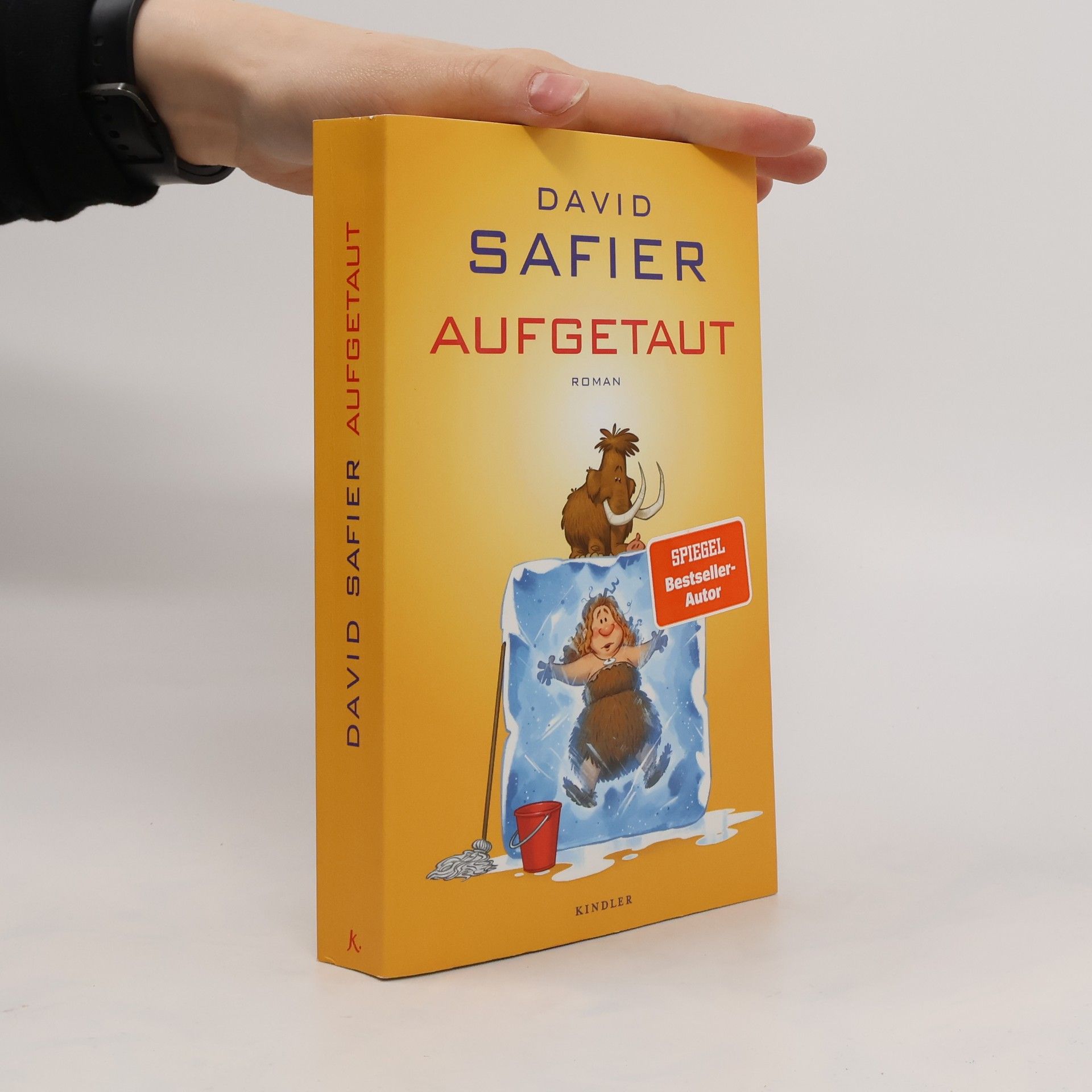 David Safier Aufgetaut