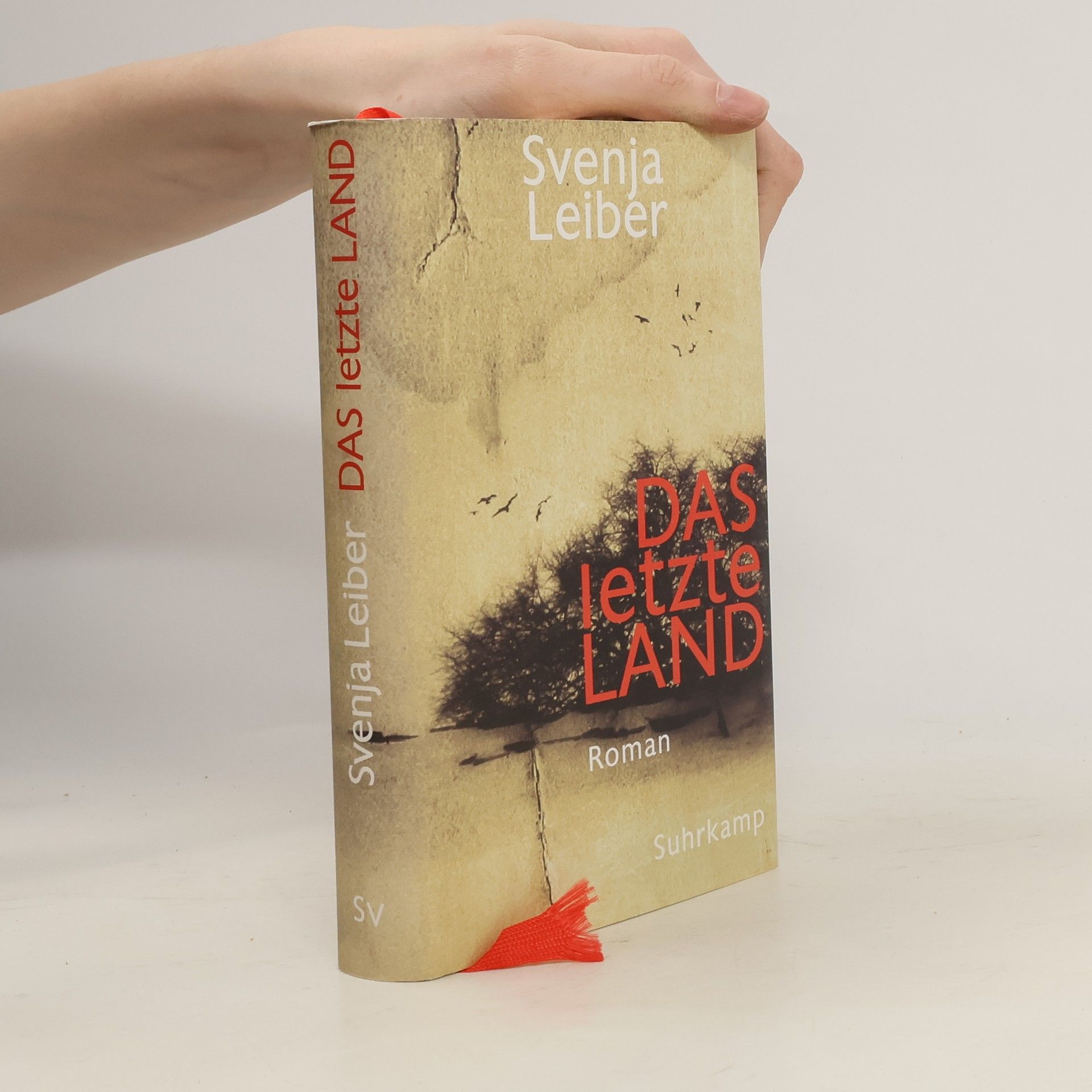 Svenja Leiber Das letzte Land