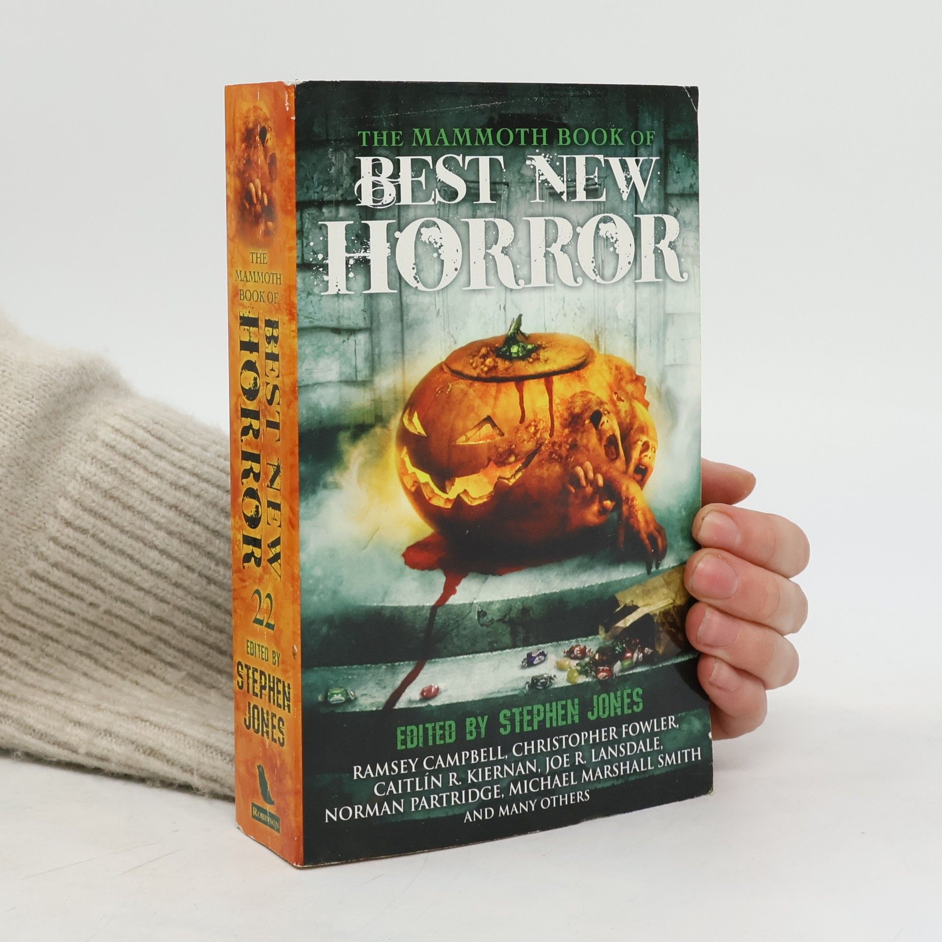 Stephen Jones The Mammoth Book of Best New Horror. Vol. 22