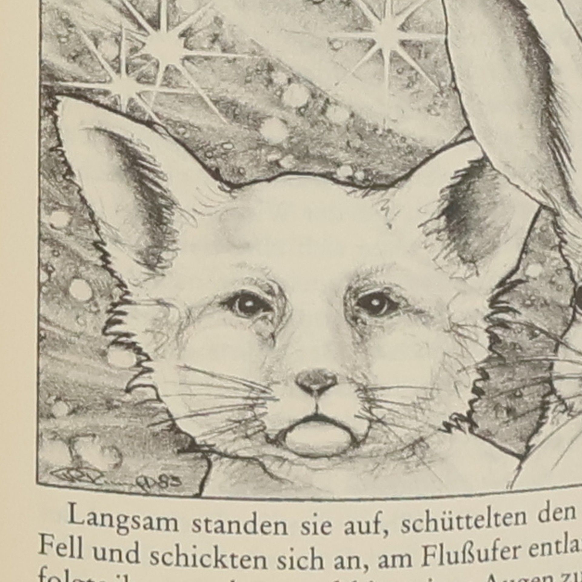 Peter Wilfert Goldmann-fantasy-Foliant