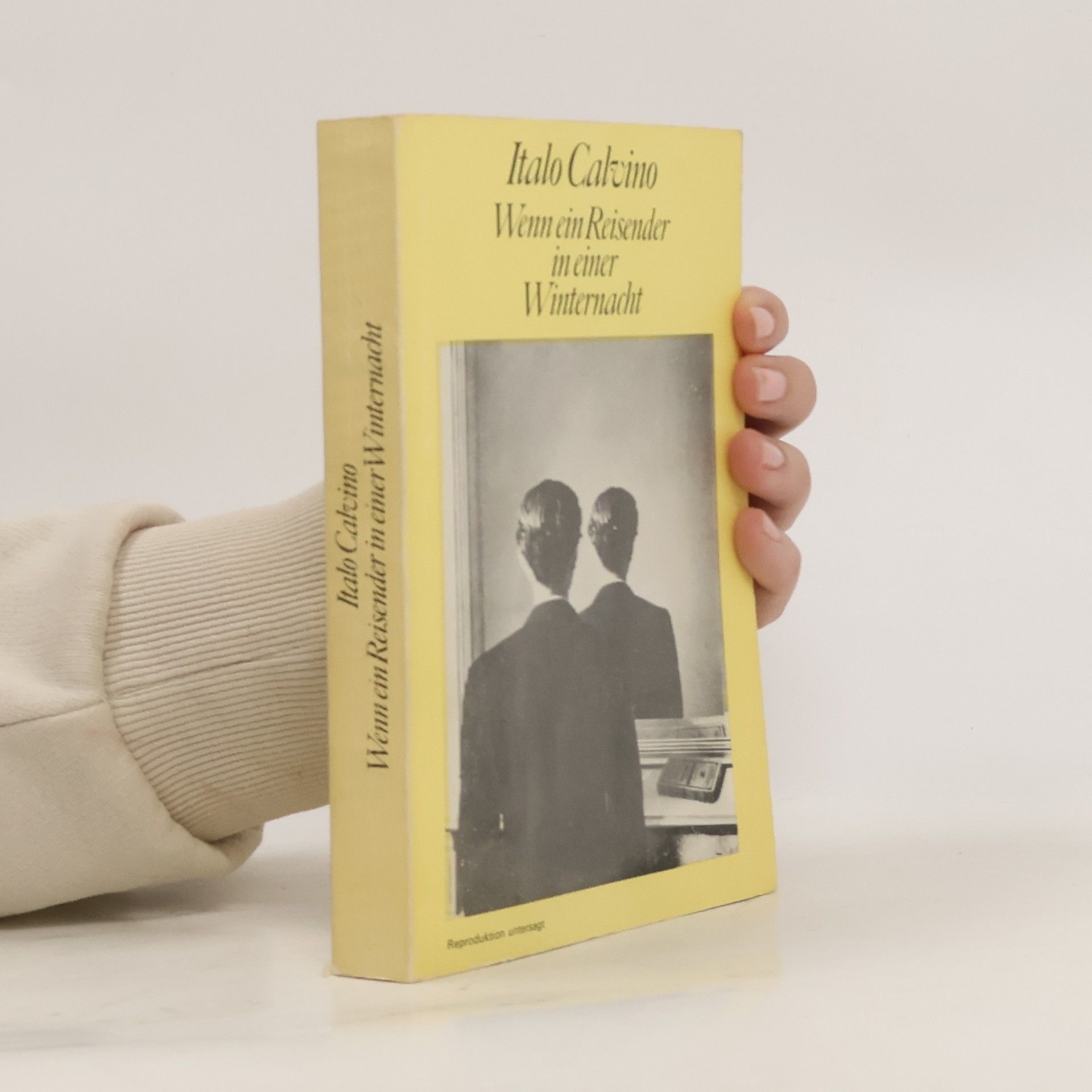Italo Calvino Wenn ein Reisender in einer Winternacht