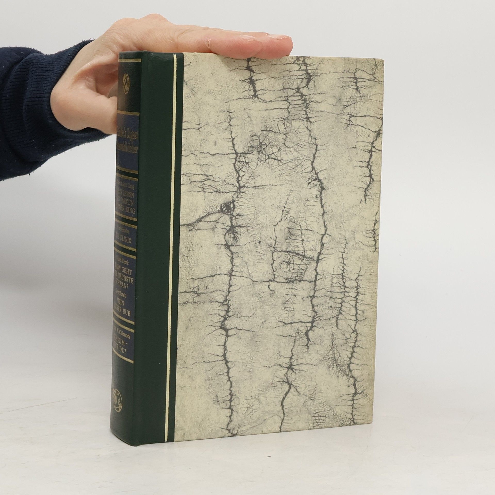 Kolektiv autorů Mein Leben mit Martin Luther King. Die Klinik. Wann geht der nächste Zug? Mein lieber Bub. Ich komme – wer bist du?