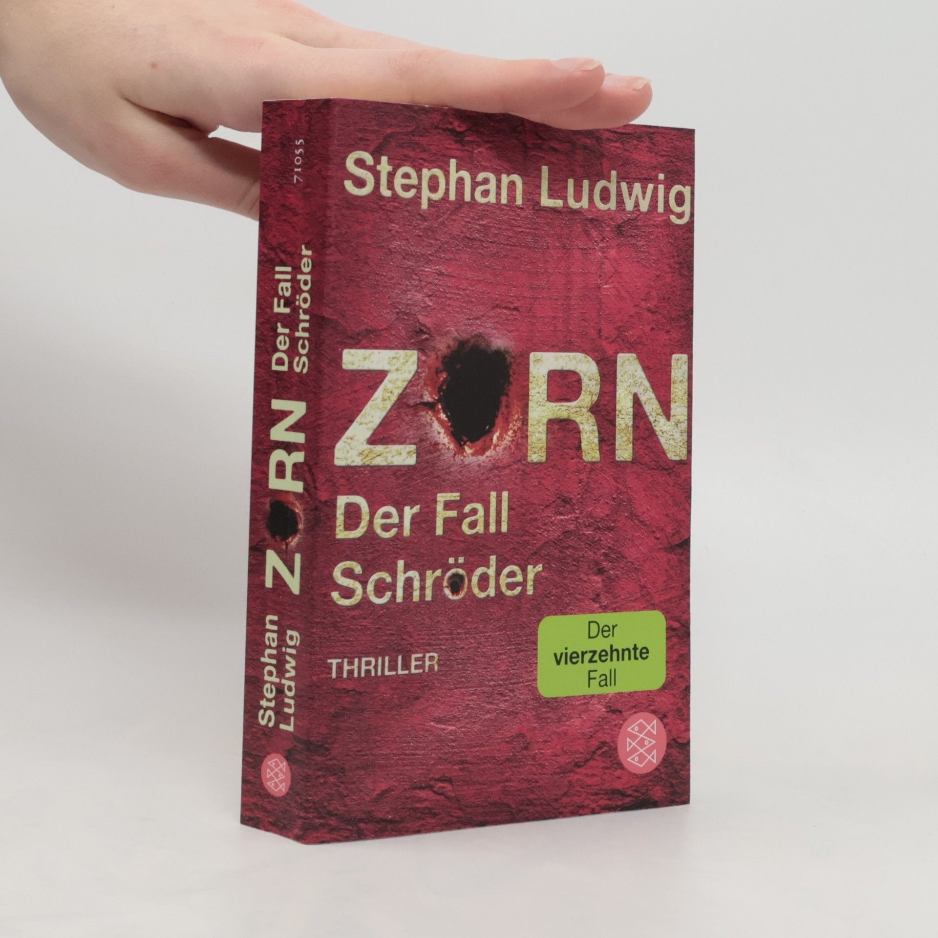 Stephan Ludwig Zorn - Der Fall Schröder / Hauptkommissar Claudius Zorn Bd.14