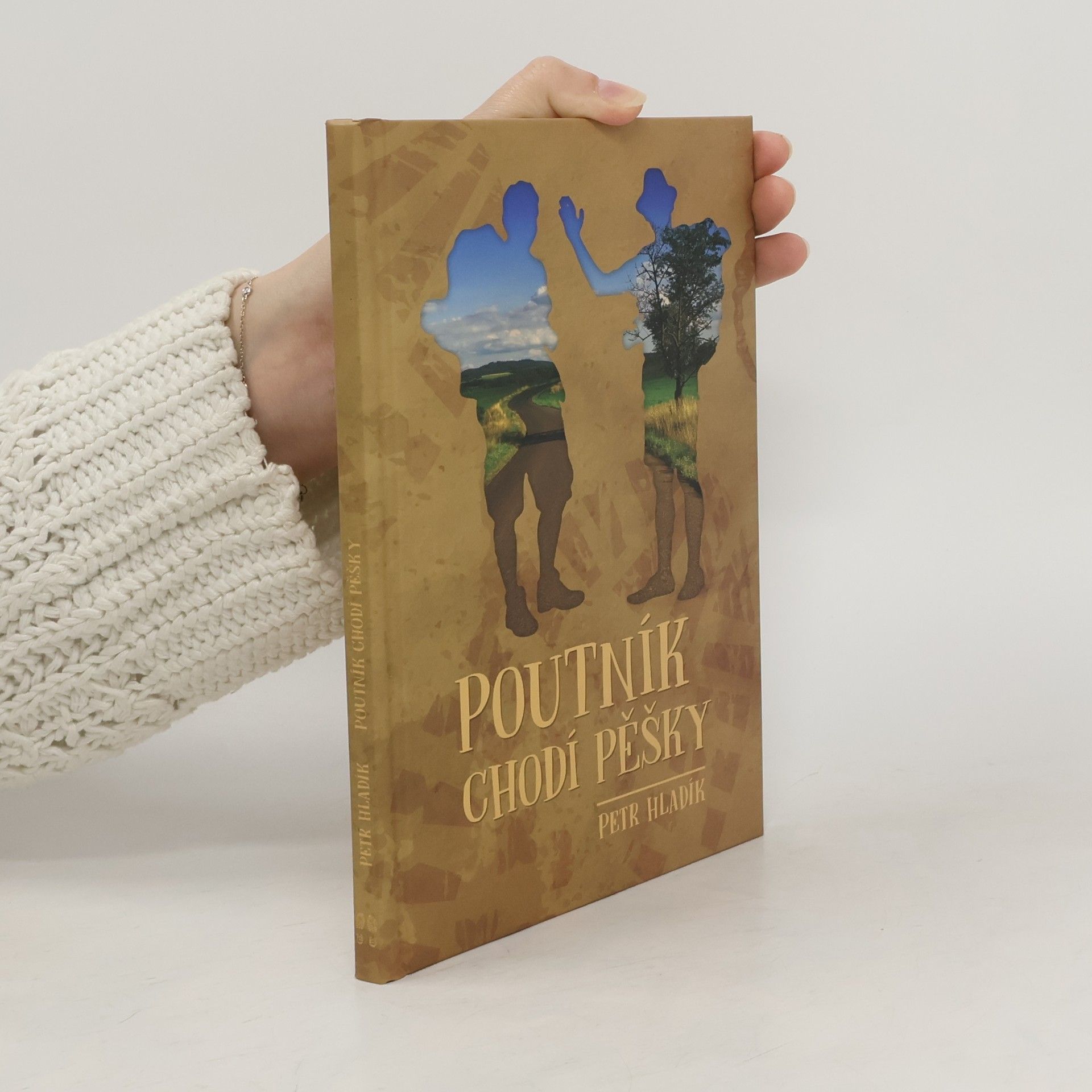 Petr Hladík Poutník chodí pěšky