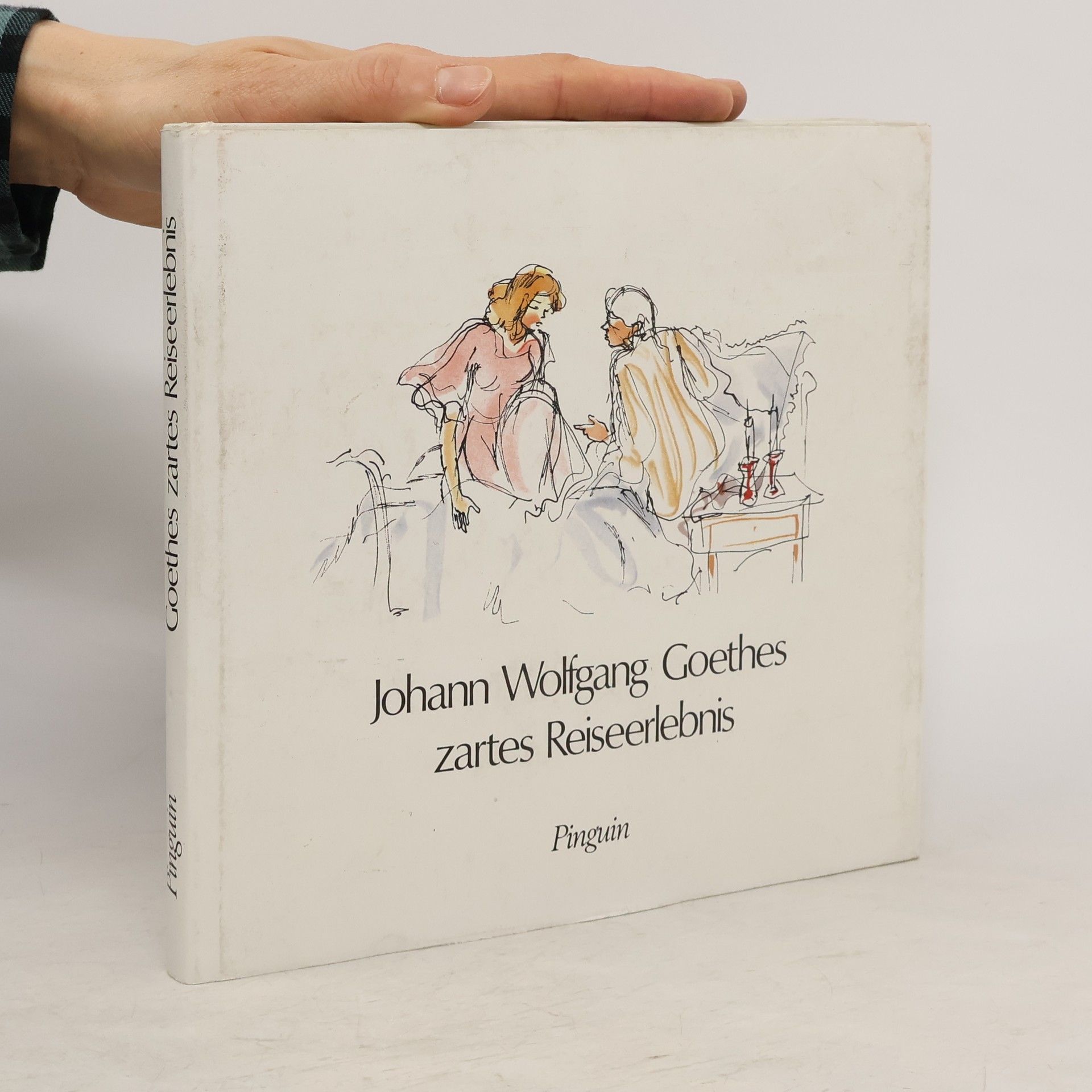 Johann Wolfgang von Goethe Johann Wolfgang Goethes zartes Reiseerlebnis