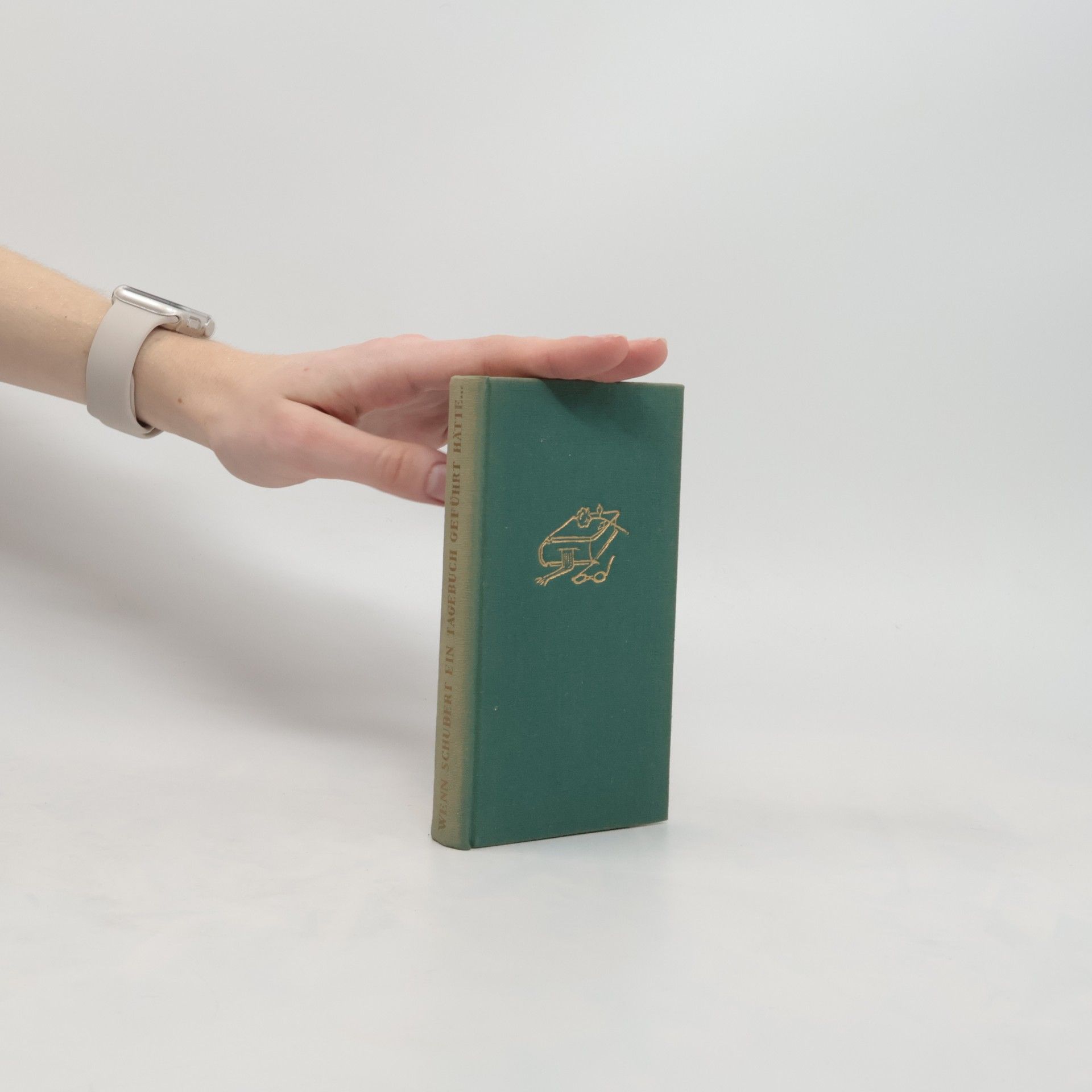 László Fábián Wenn Schubert ein Tagebuch geführt hätte